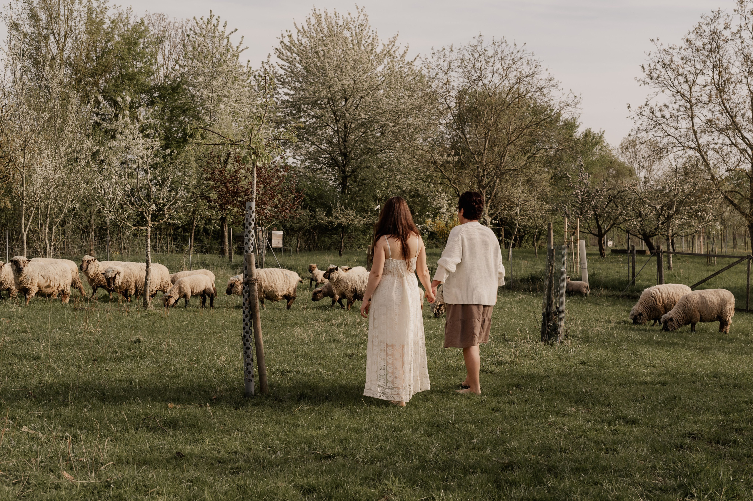 Familien. Photographer in Nuremberg Irina Mehnert from Ansbach