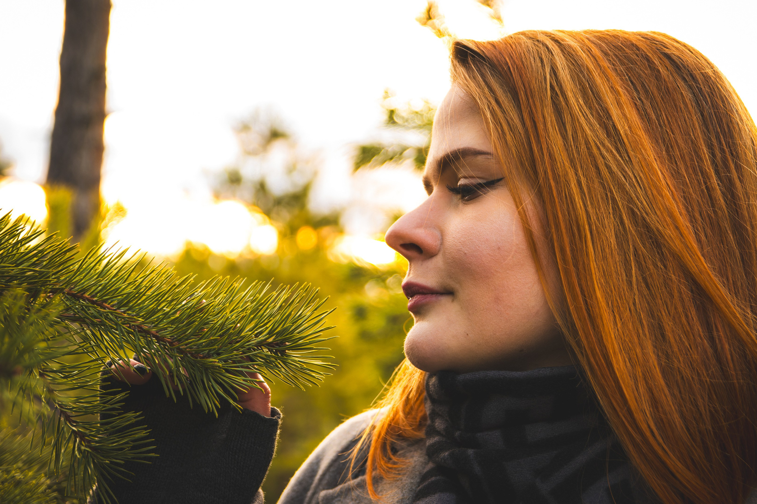 Nebula 25 — Fotod teie hingele