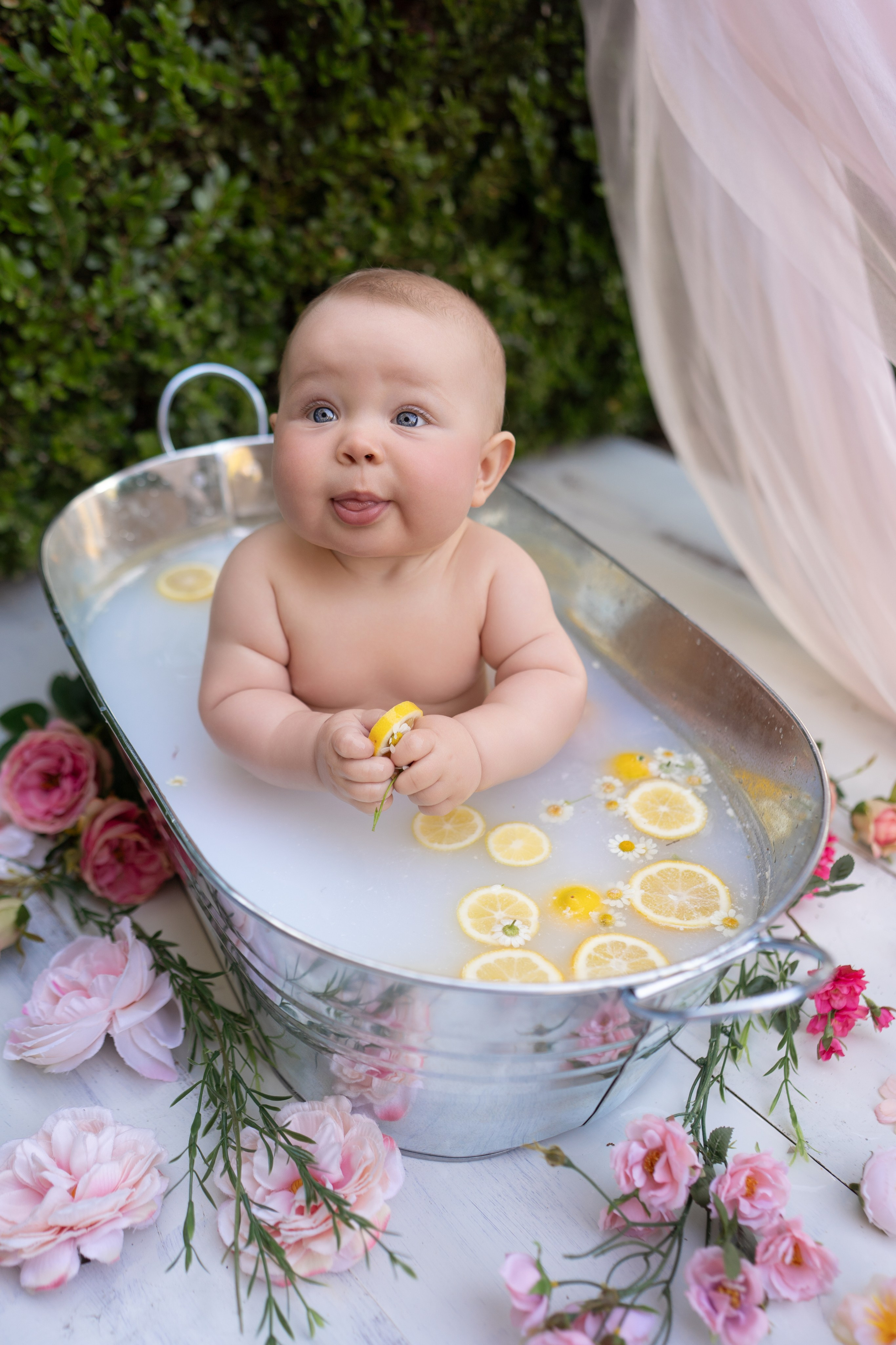 Milestone. Maternity, family and newborn photography in San Francisco Bay Area