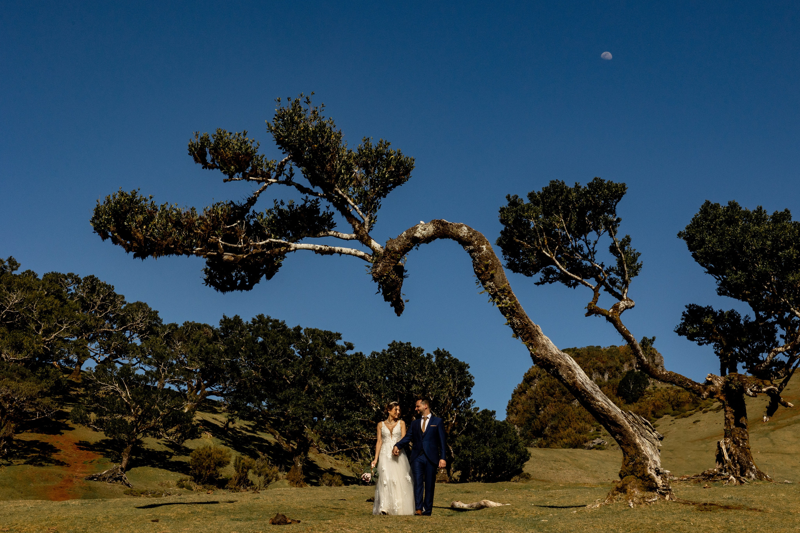 Madeira Elopement Photoshoot | Romantic Couple Session in Madeira Island. Lisbon Wedding Photographer | Elegant Wedding Storytelling
