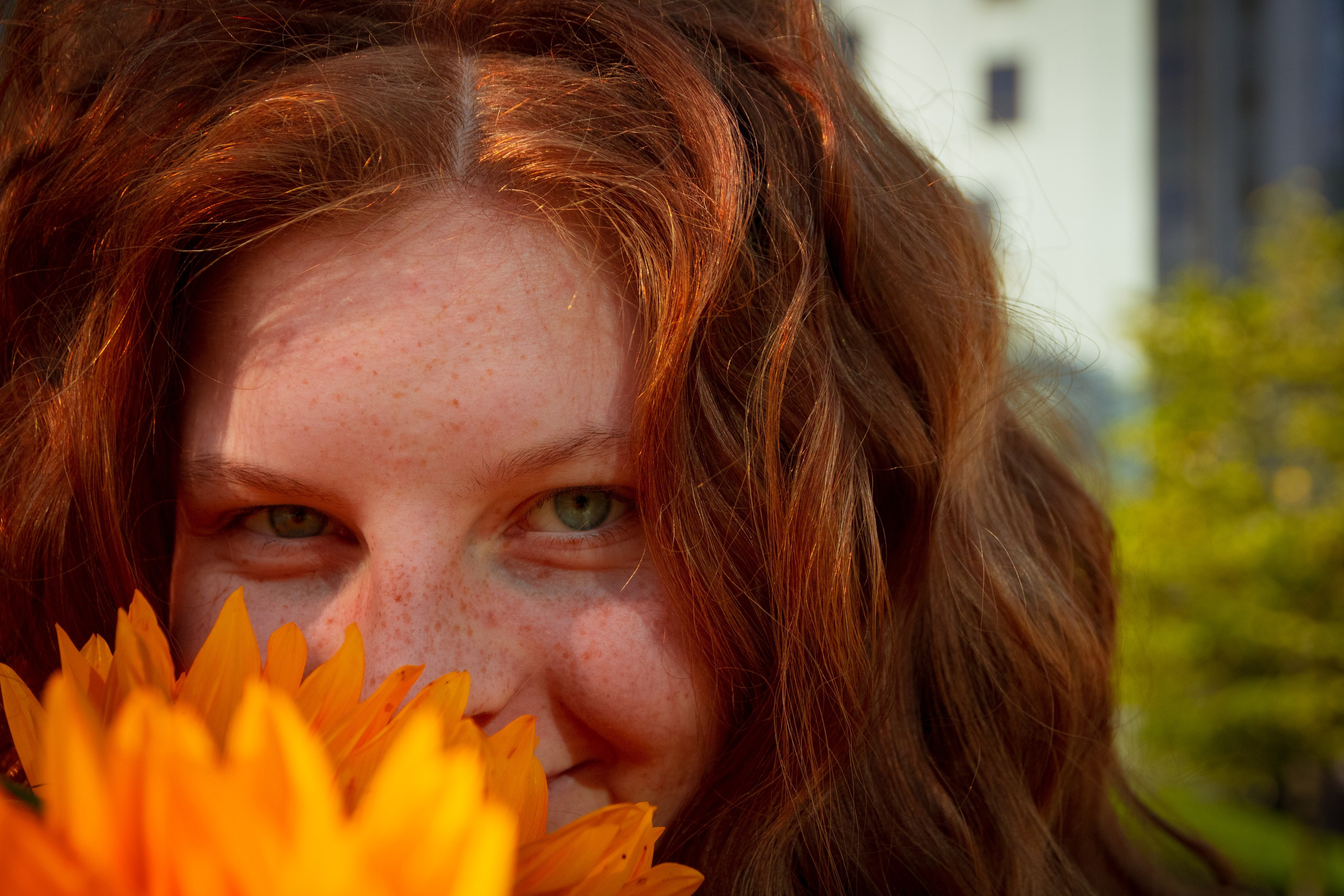 Nebula 25 — Fotod teie hingele