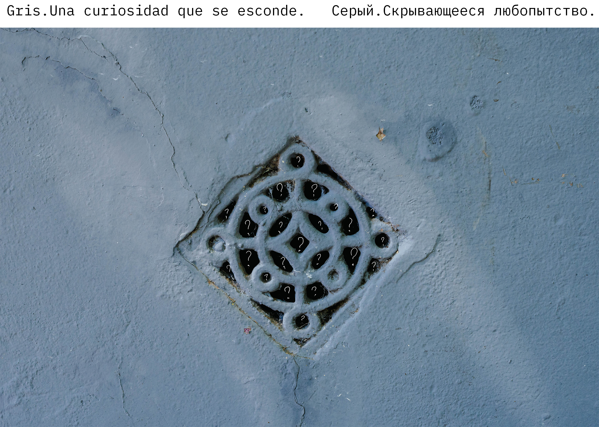 Perla. Los colores. Photographer @elmirkami in the city of Buenos Aires