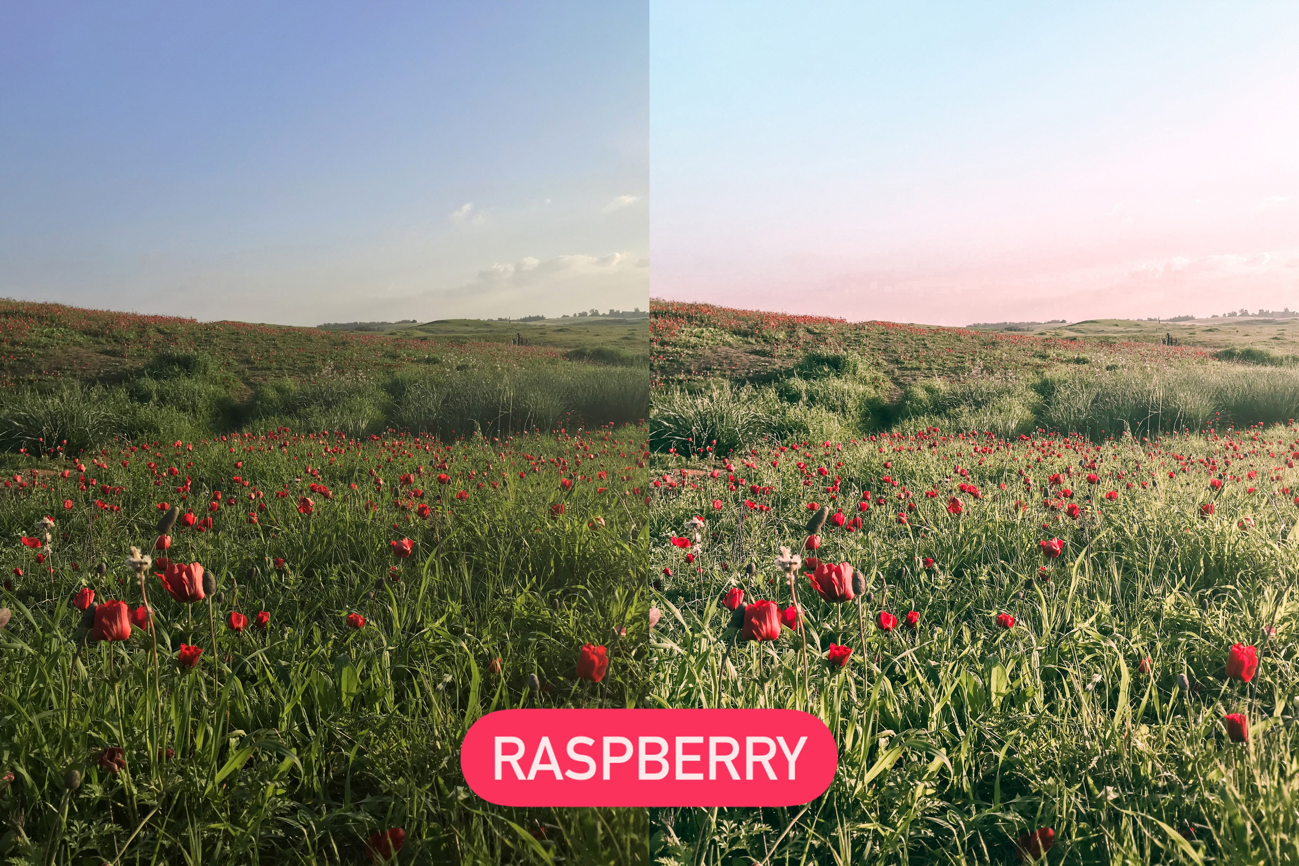 Presets. Photo and video shoots, photo tours in Portugal — WePortugal