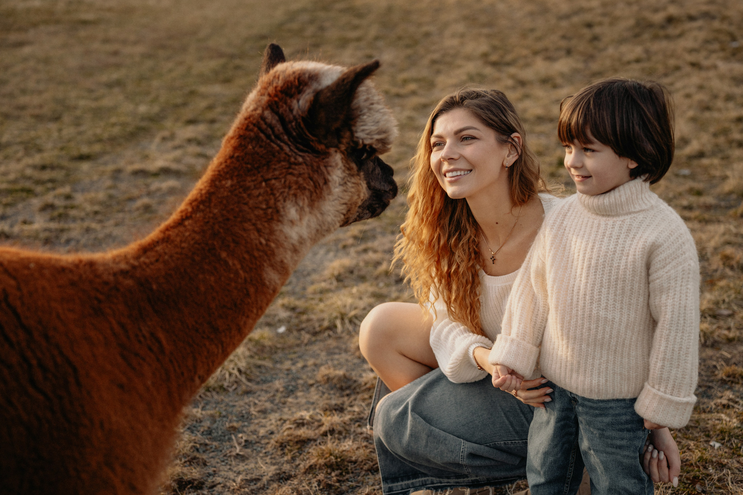 Unique Family Photography at an Alpaca Farm – Fun & Playful. Alisa Tant — Family and newborn photographer Bucks County, Montgomery county, Philadelphia, NJ
