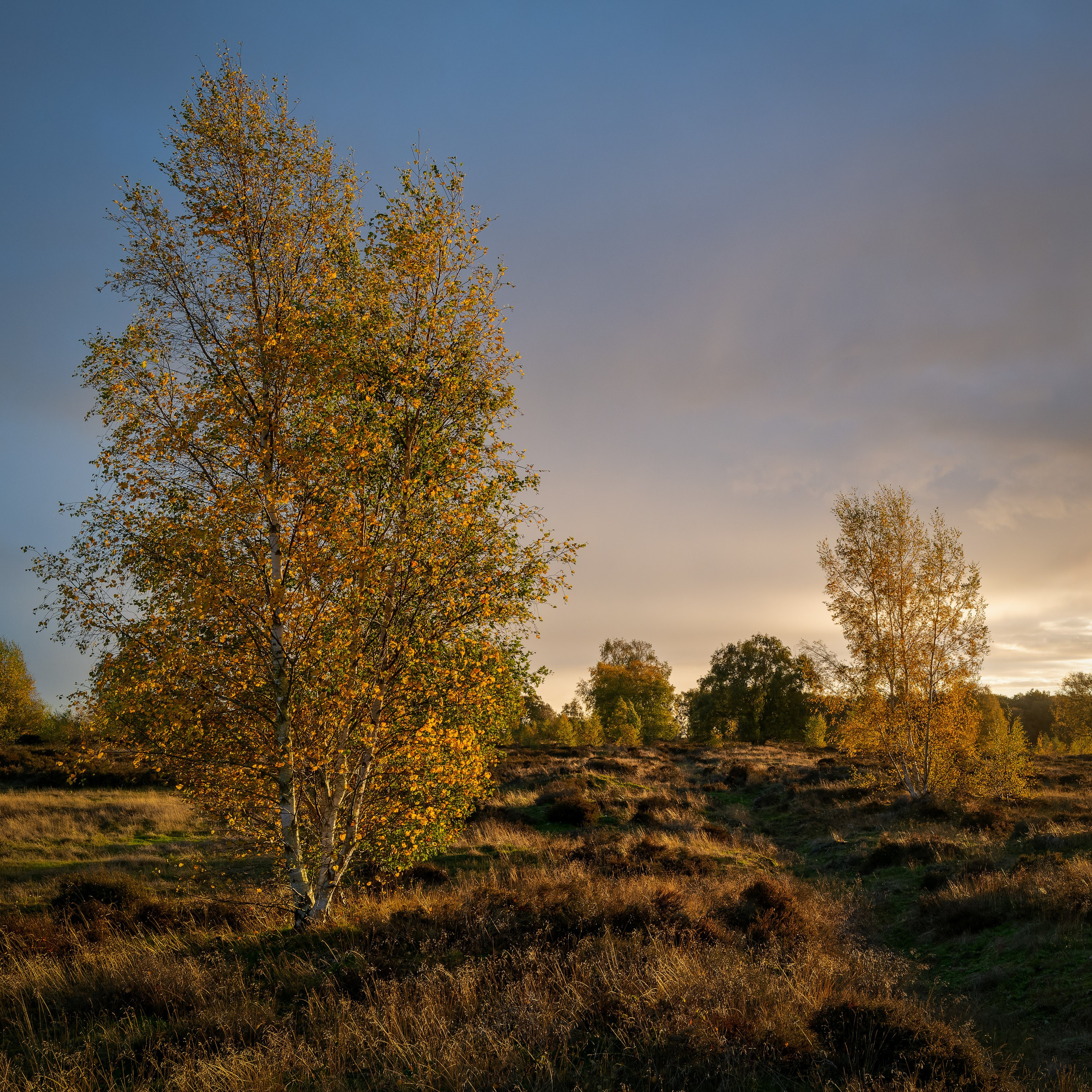 UK Landscape & Seascape Gallery. Hedley Wright Photography | East Anglia Sport, Street, Wildlife, Landscape & Astrophotography