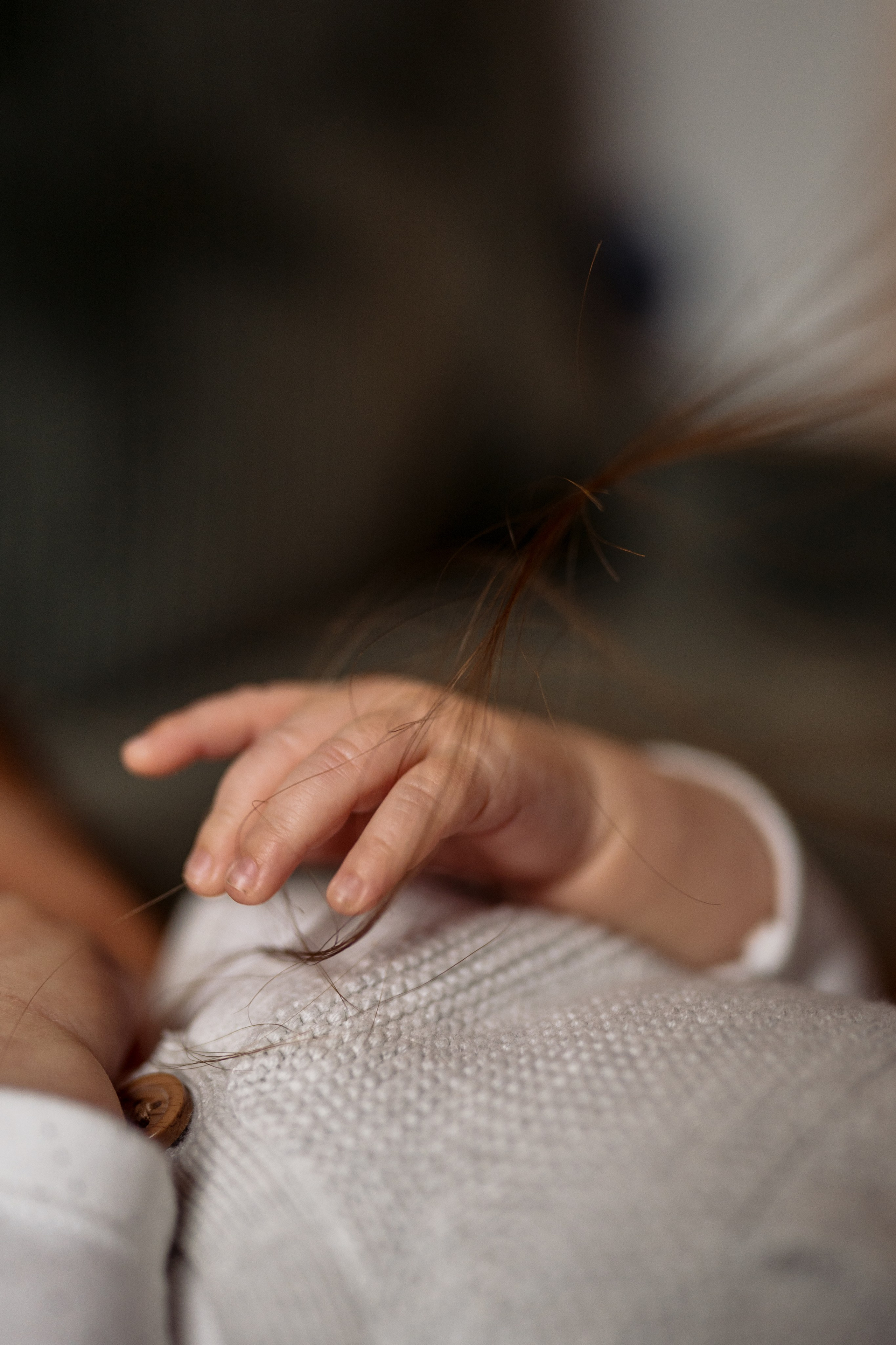 Newborn & Pet Lifestyle Photography – Cute & Heartwarming. Alisa Tant — Family and newborn photographer Bucks County, Montgomery county, Philadelphia, NJ