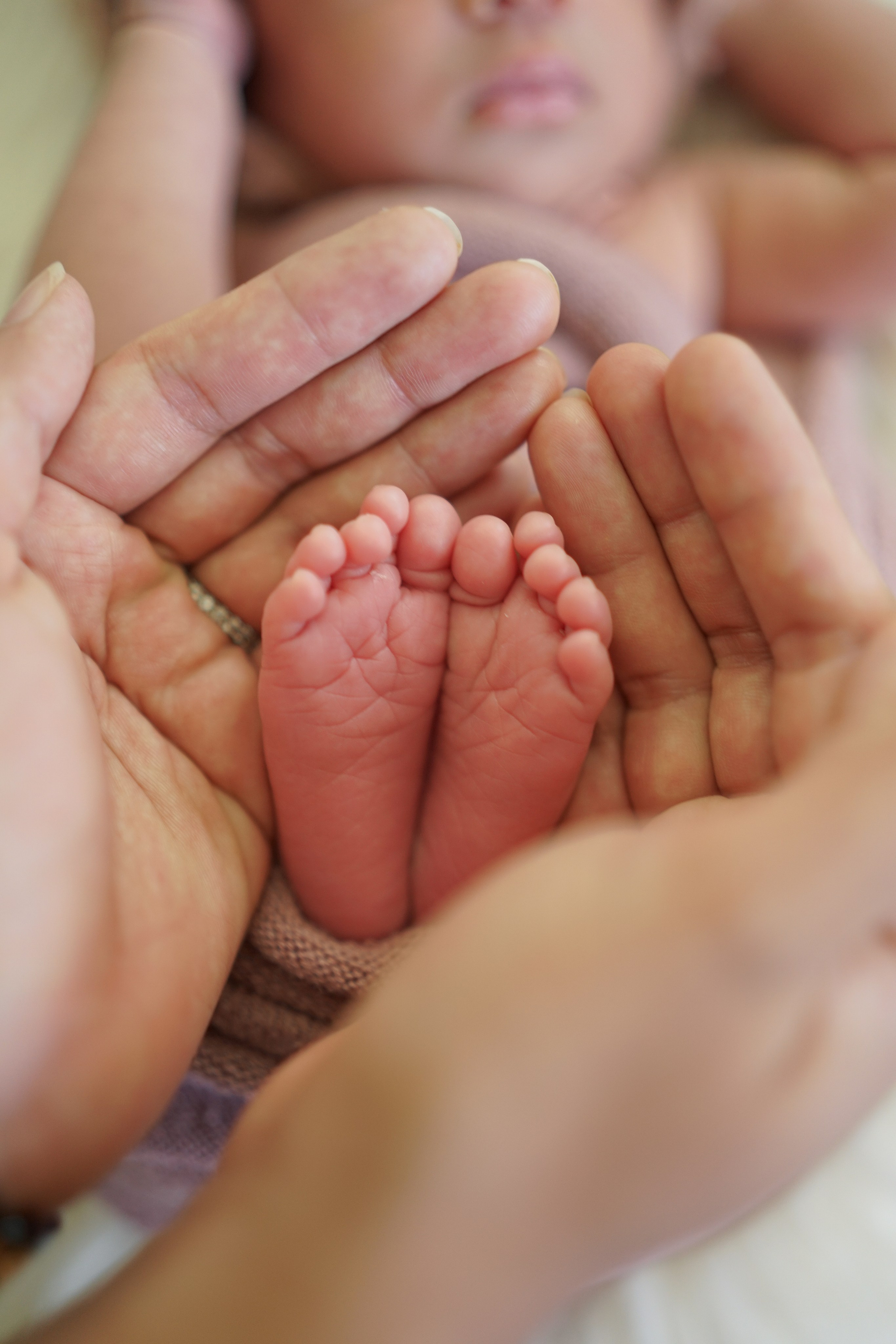 Posed Newborn. Maternity, family and newborn photography in San Francisco Bay Area