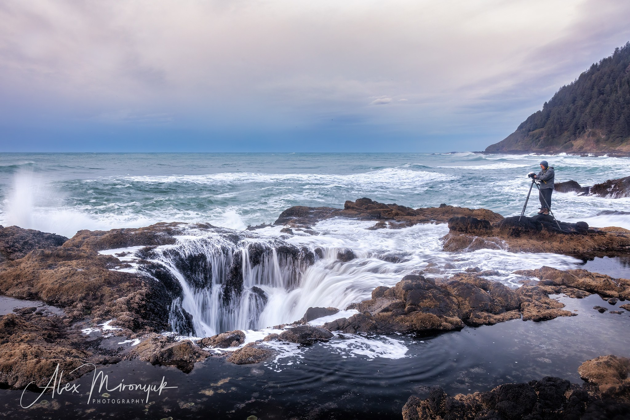 Oregon Coast Photo Workshop. Pet, Senior, Landscape, portrait studio, photographer in Miami and Sou