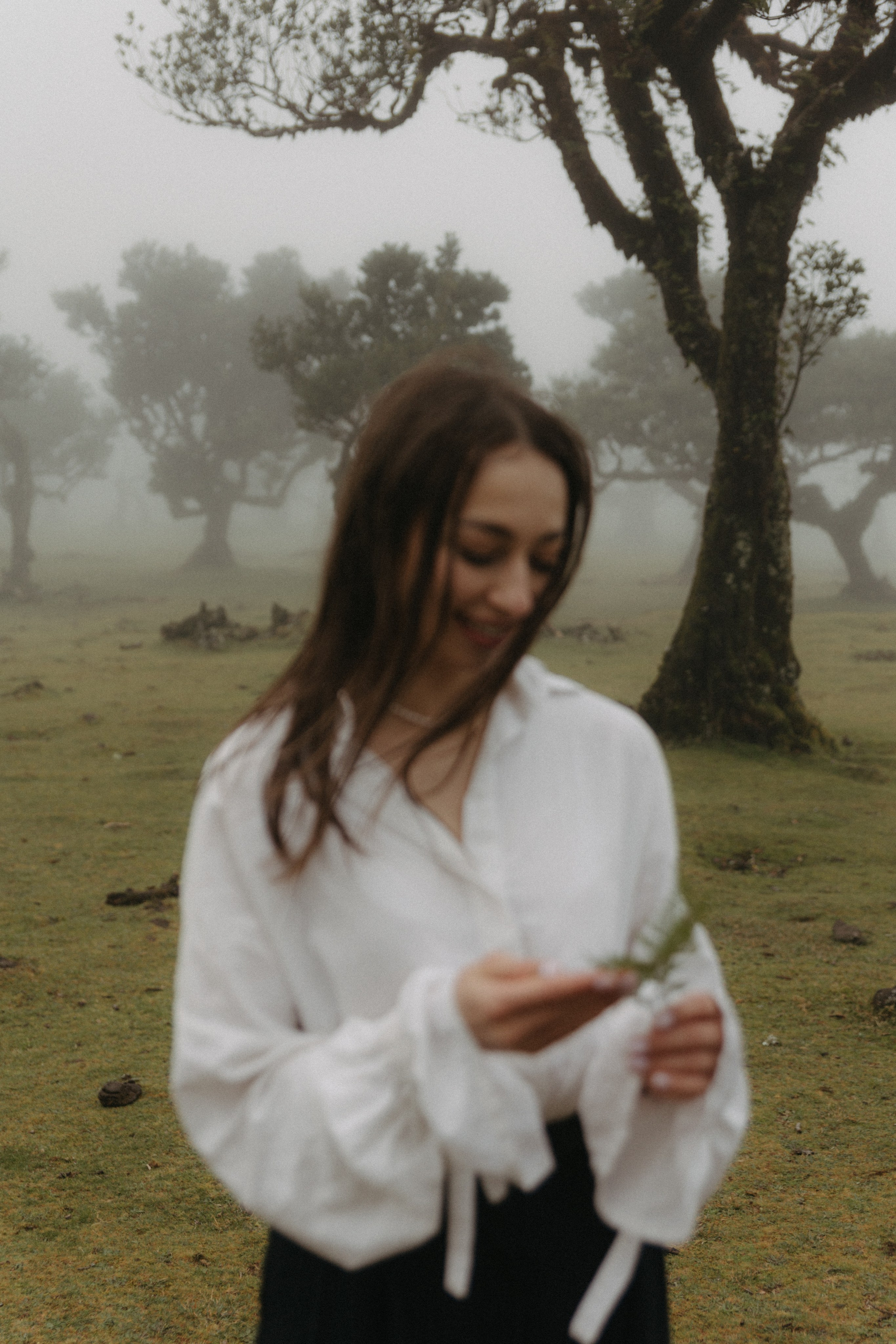 Magic of Fanal Forest. Wedding photographer and videographer based in Timisoara, Romania