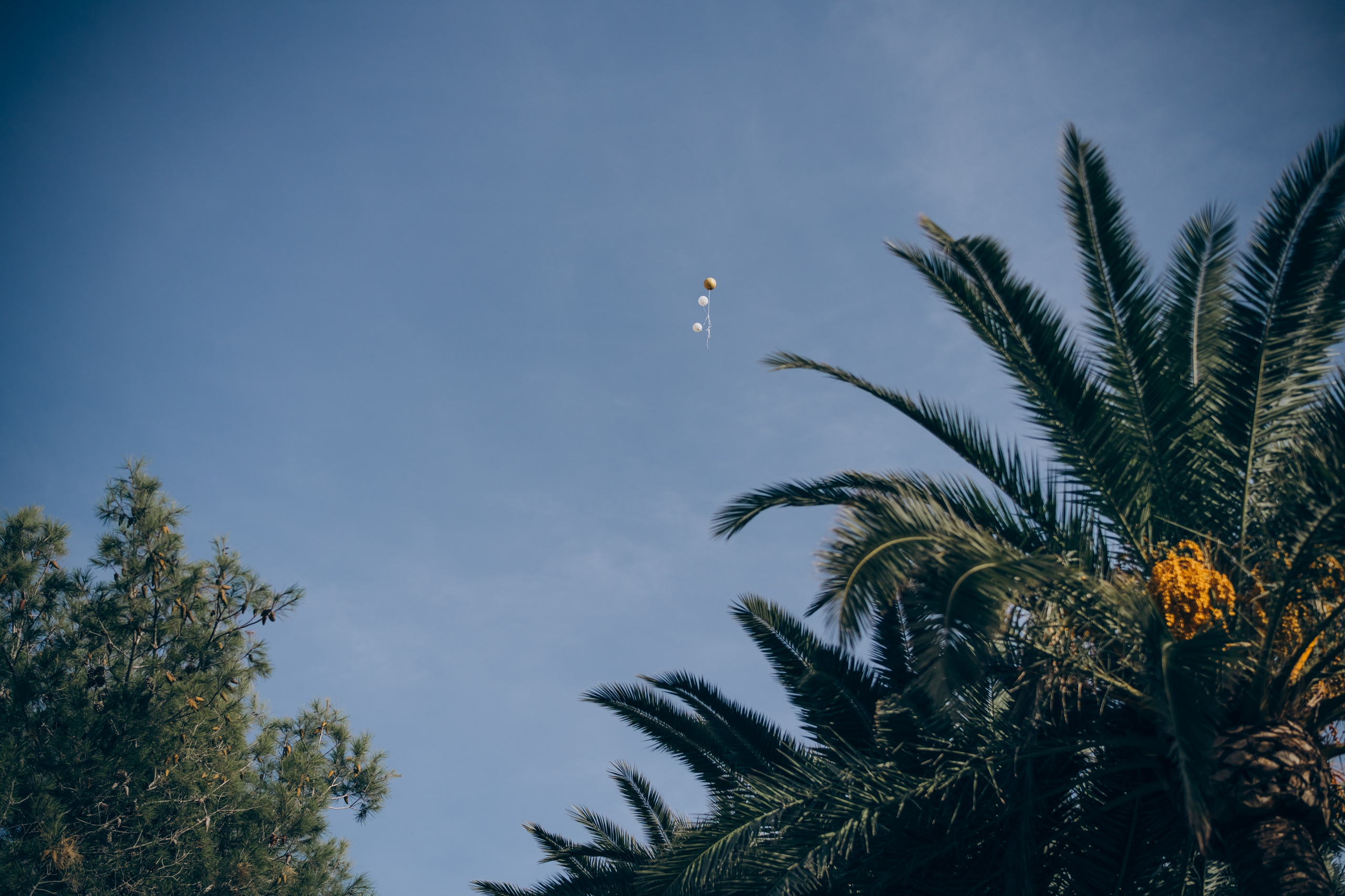 Andrew’s birthday. Photographer in Mallorca