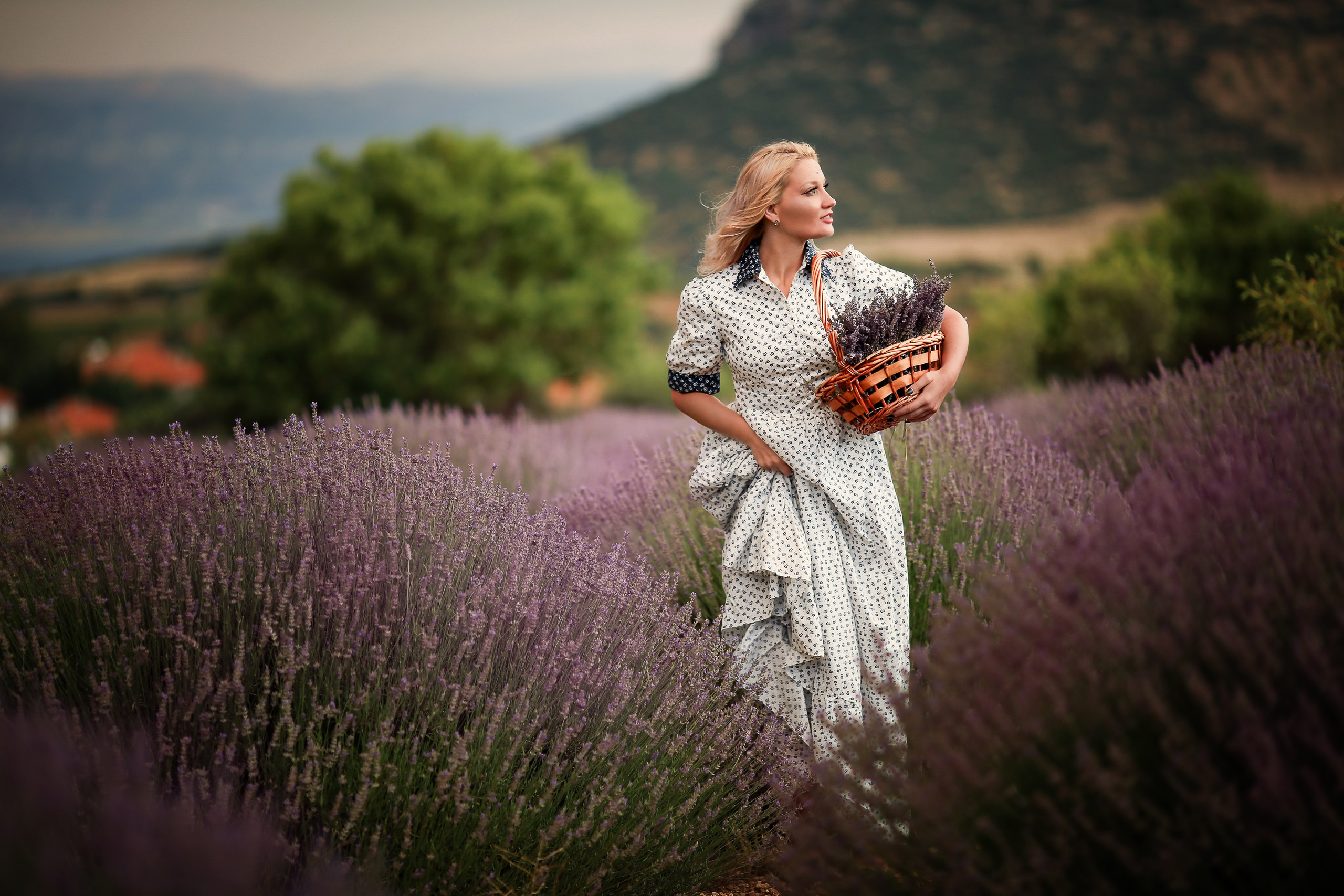 Lavender fields in Turkey. Photographer in Turkey, Antalya, Kemer, Belek, Side, Kas, Fethiye