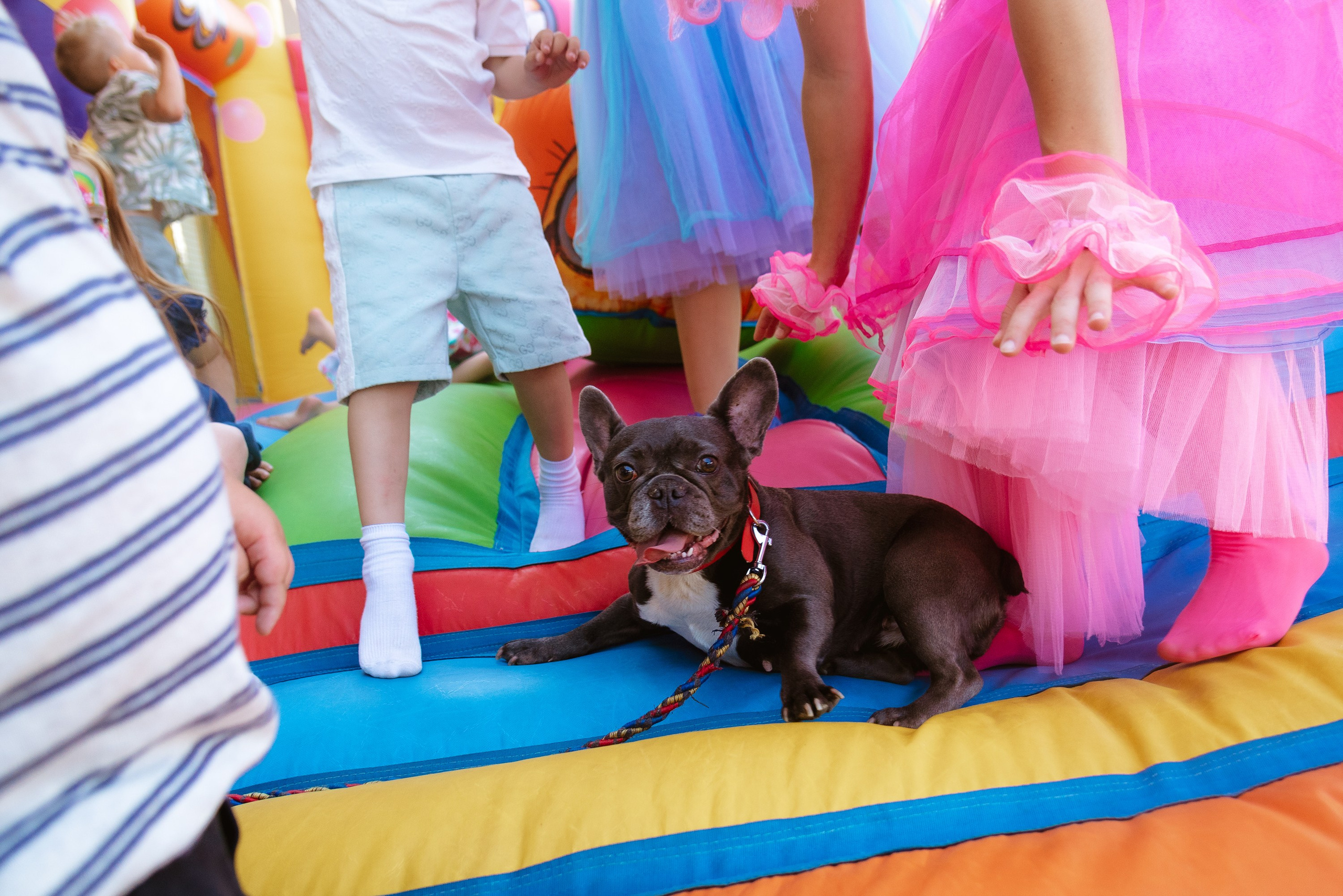 Children’s birthday photographer in Torrevieja, Alicante | Andrey Lukovnikov