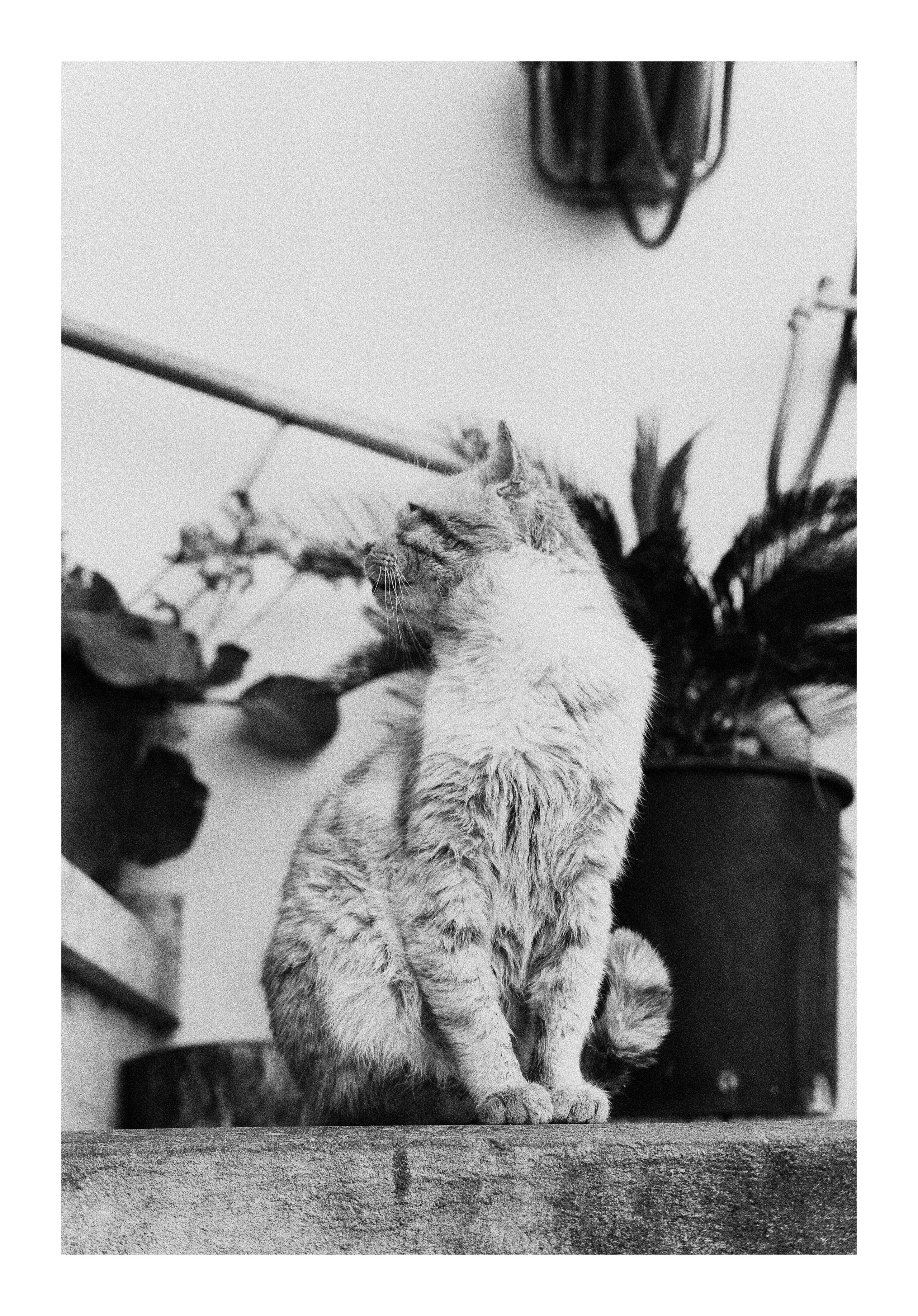 Street Black & White Photography | China in Black & White photographs. 中国街头摄影 | The Streets of China Through My Eyes | 深圳