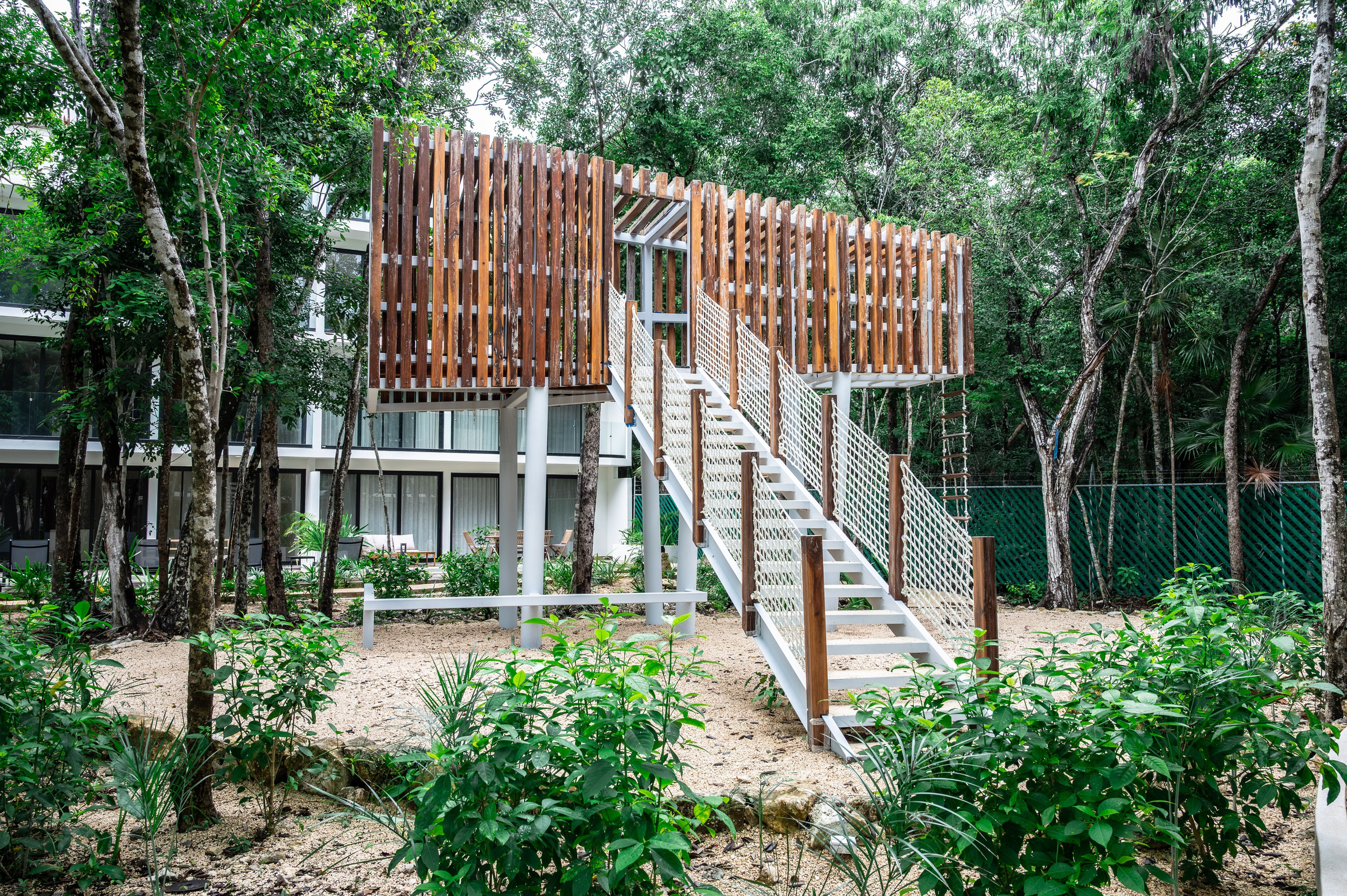 101 park. ФОТОГРАФ МЕКСИКА КИНТАНА-РОО