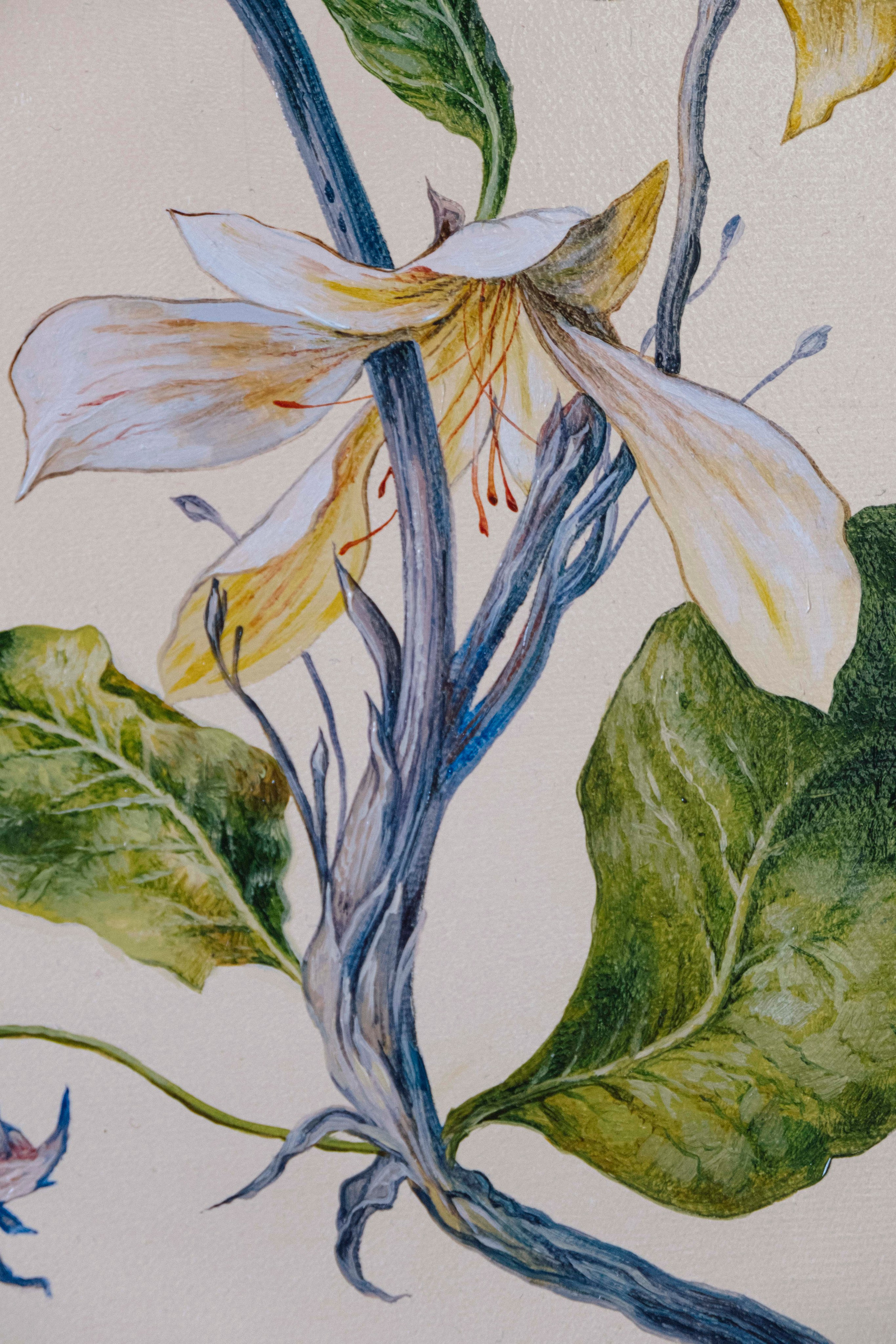 Botanical Etude No. 3. ELEN BEZHEN