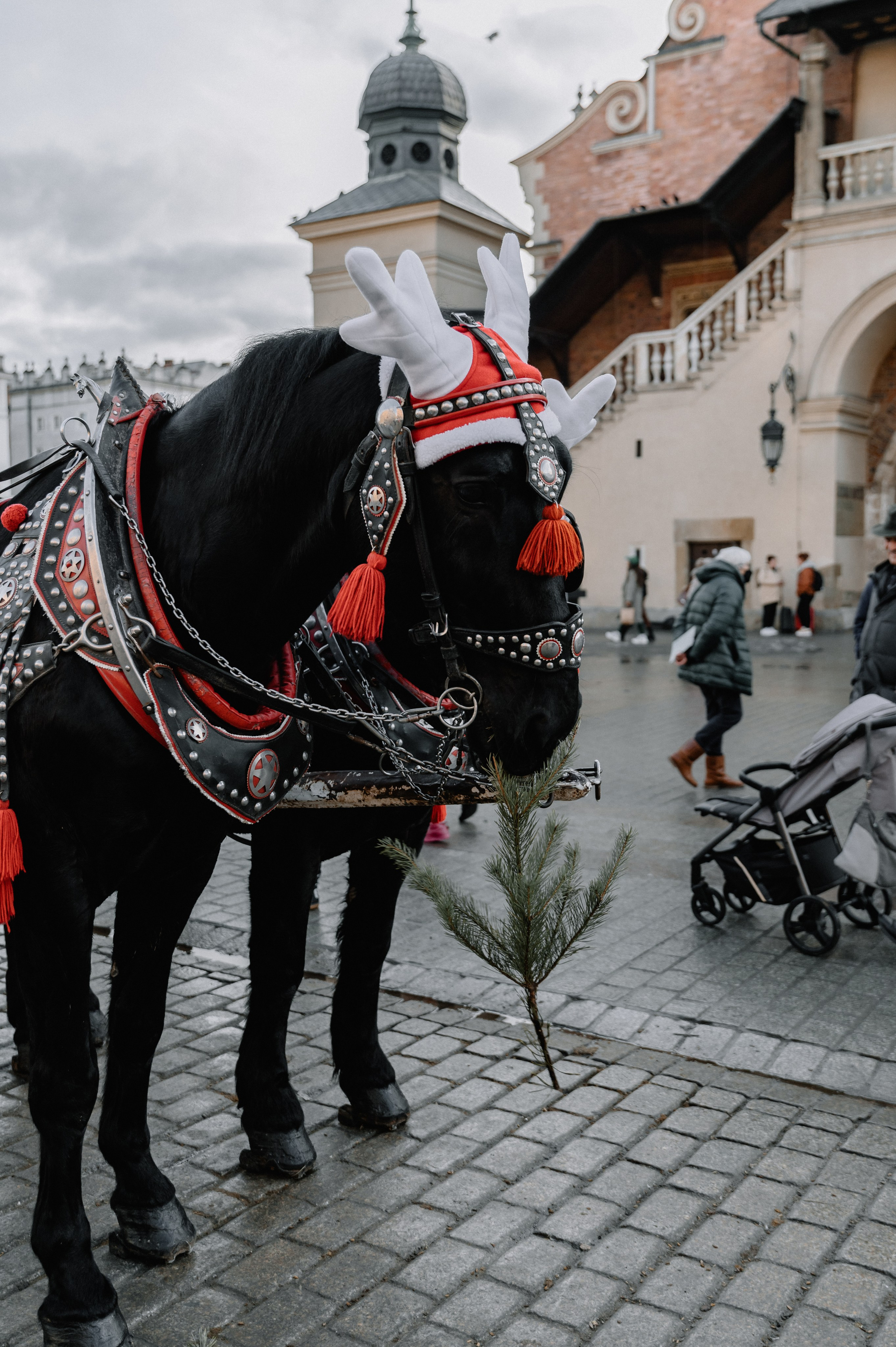 Christmas Photo Day. Photographer in Krakow/Europe Veronika Stoma
