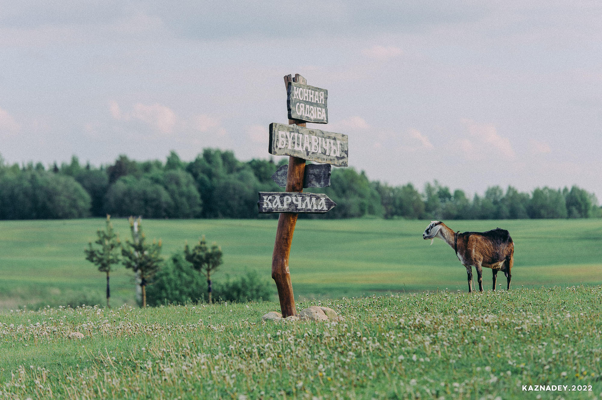 photographer Minsk