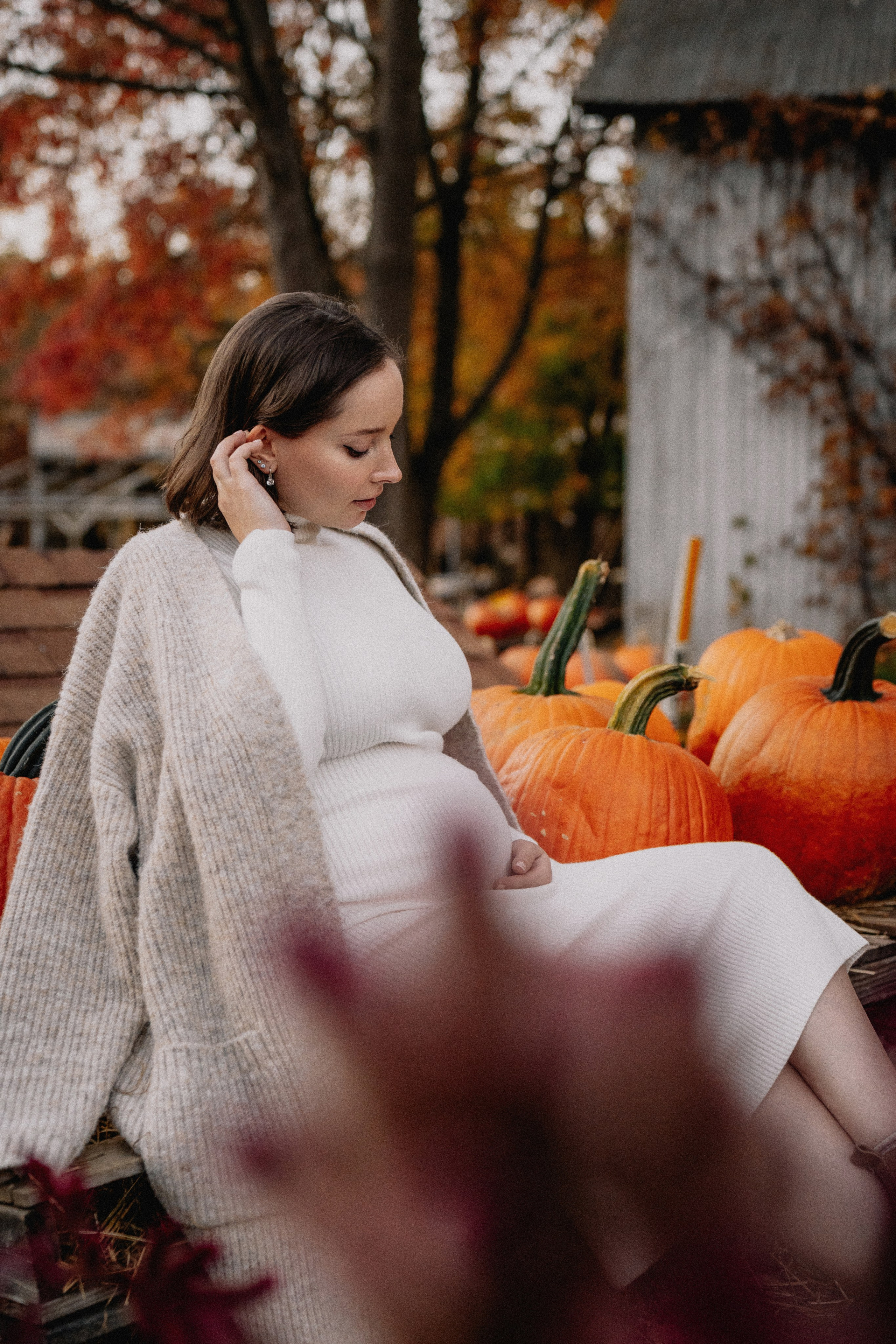 Fall Maternity Photography – Golden Autumn & Apple Orchard Magic. Alisa Tant — Family and newborn photographer Bucks County, Montgomery county, Philadelphia, NJ