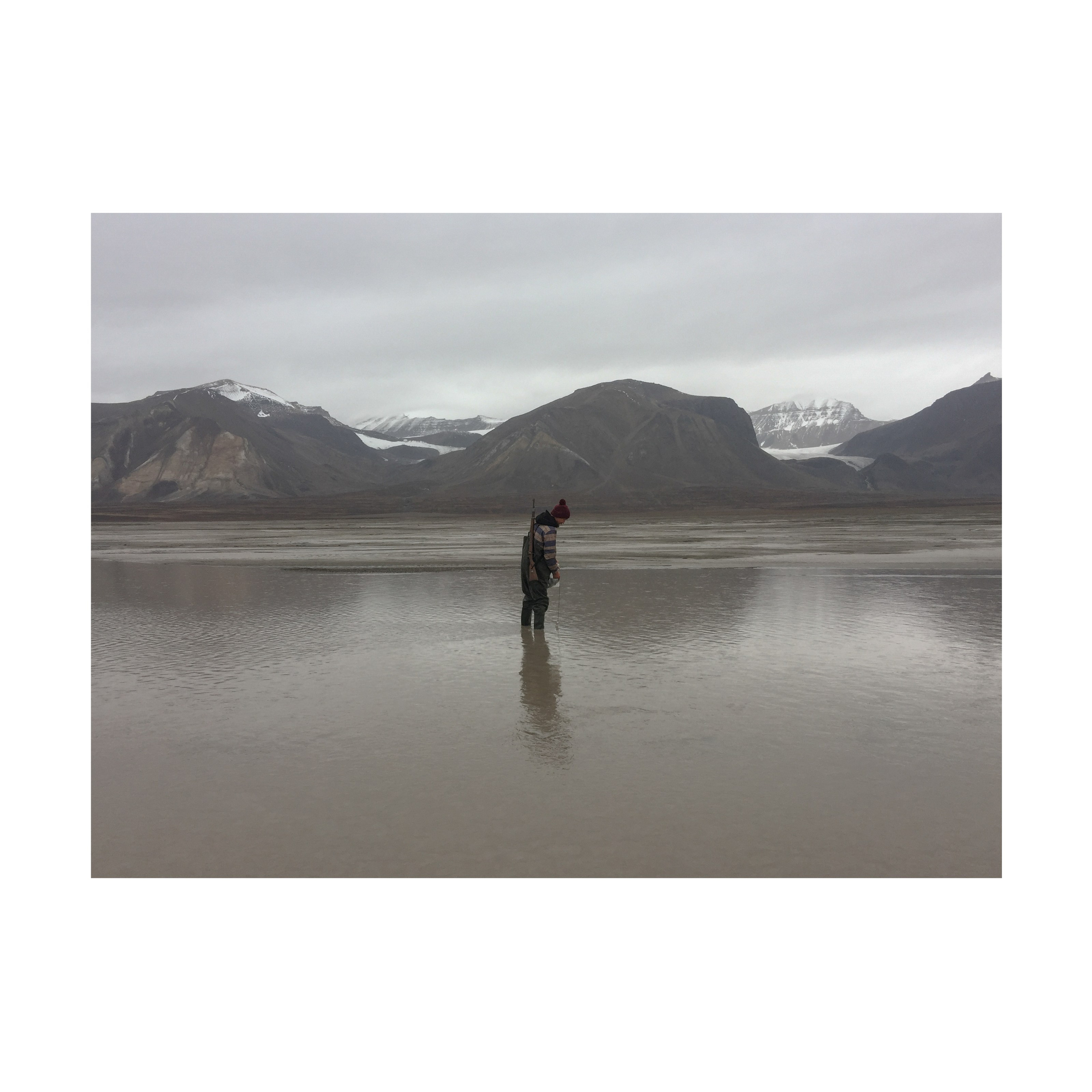 Willingness to freeze. Nelly Elagina