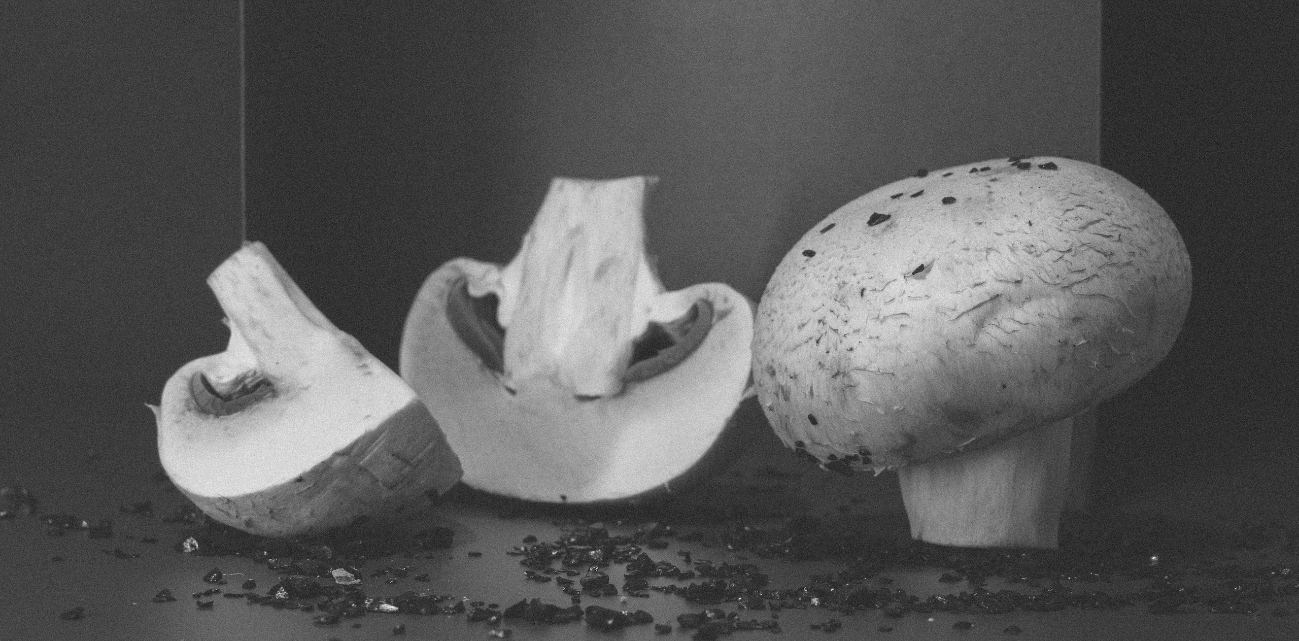 Factory (2023). Ant | photo