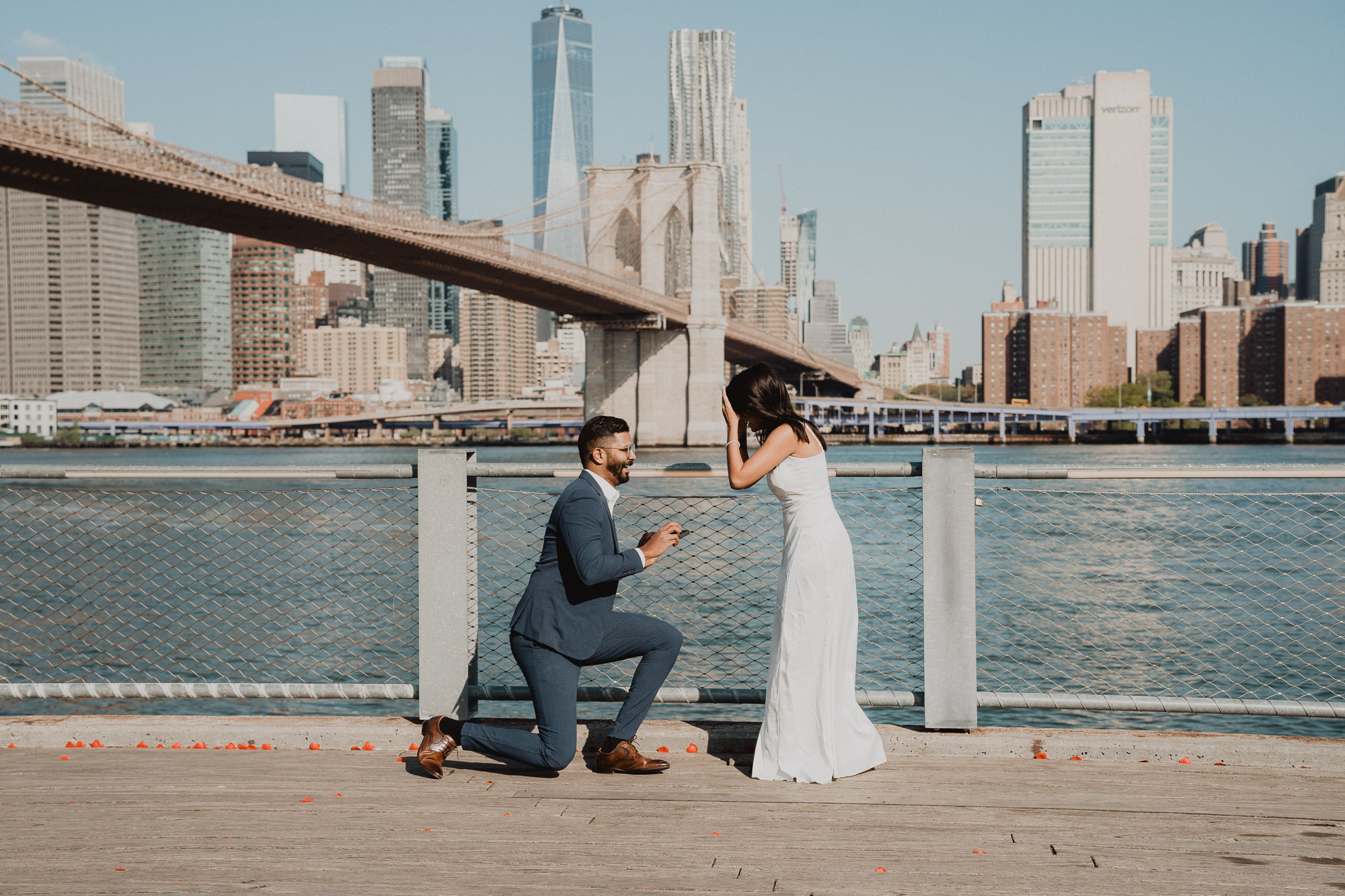 Praveena&Francis Proposal. Photographer in New York Faery By Mary
