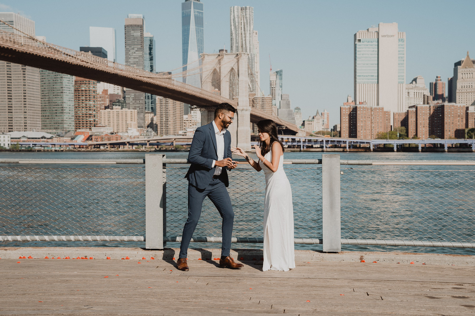 Praveena&Francis Proposal. Photographer in New York Faery By Mary