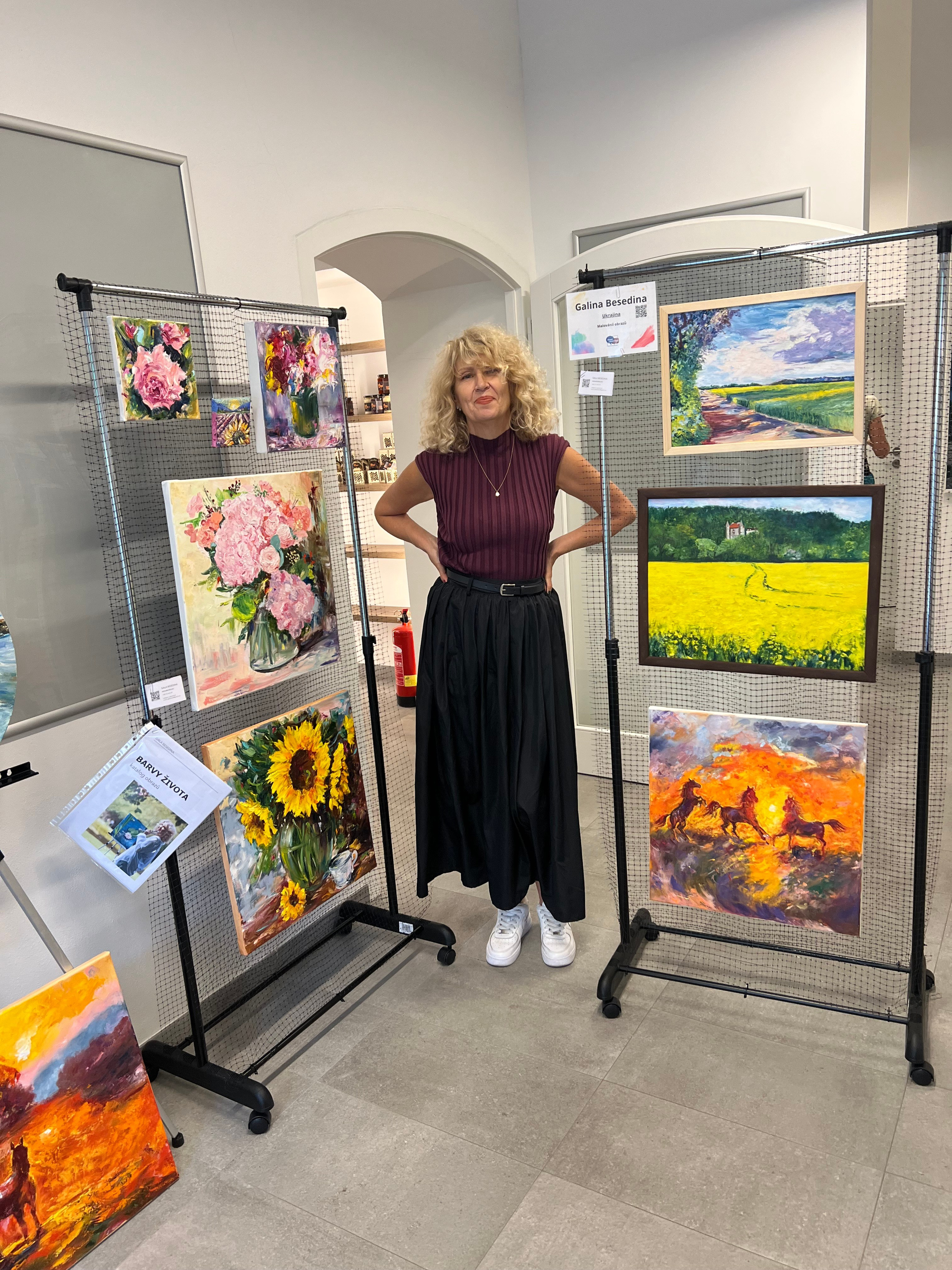 ВЫСТАВКИ / МЕДИА. GALA художник из г. Харьков в Чехии