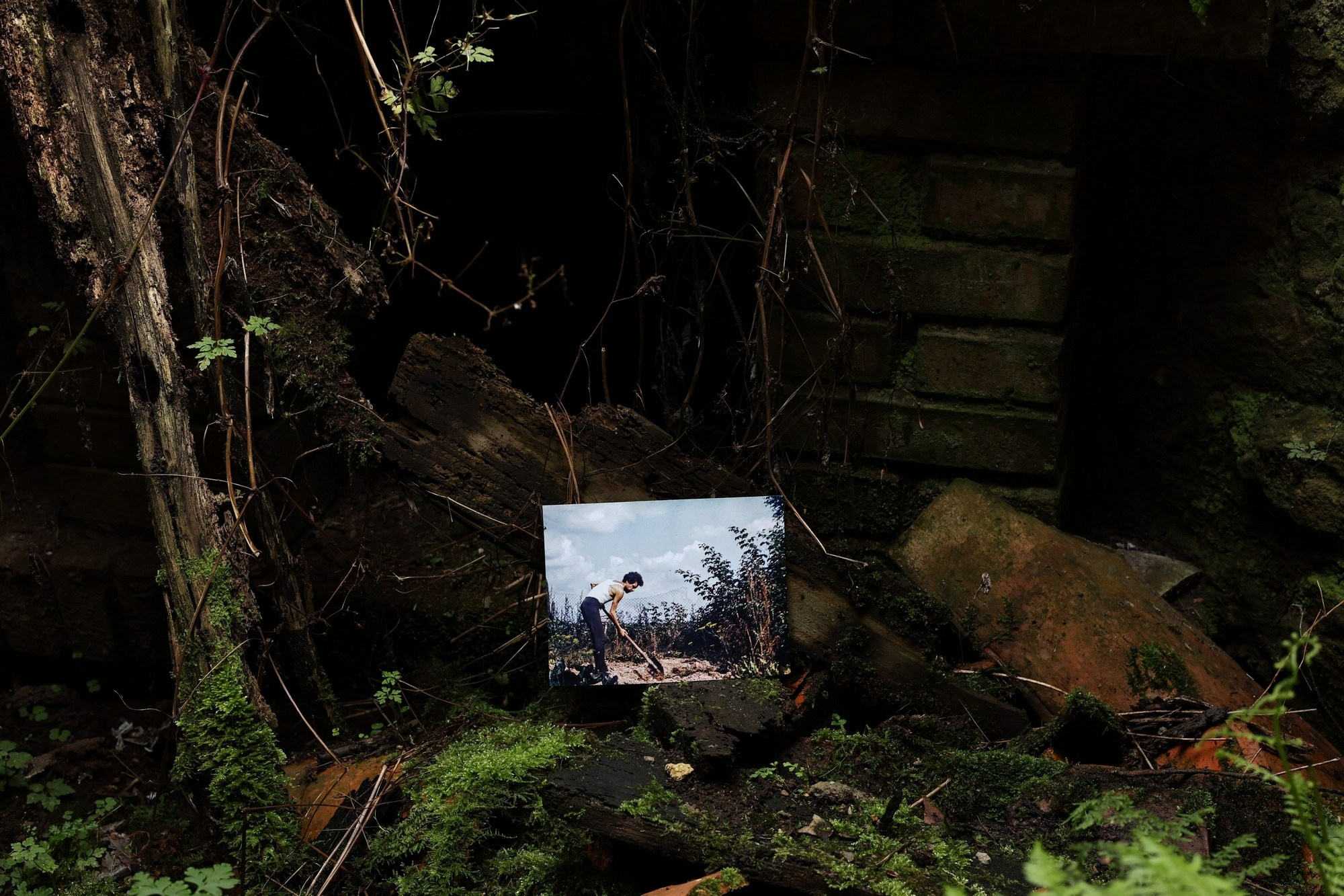 Siguen caminando dentro de mi corazón