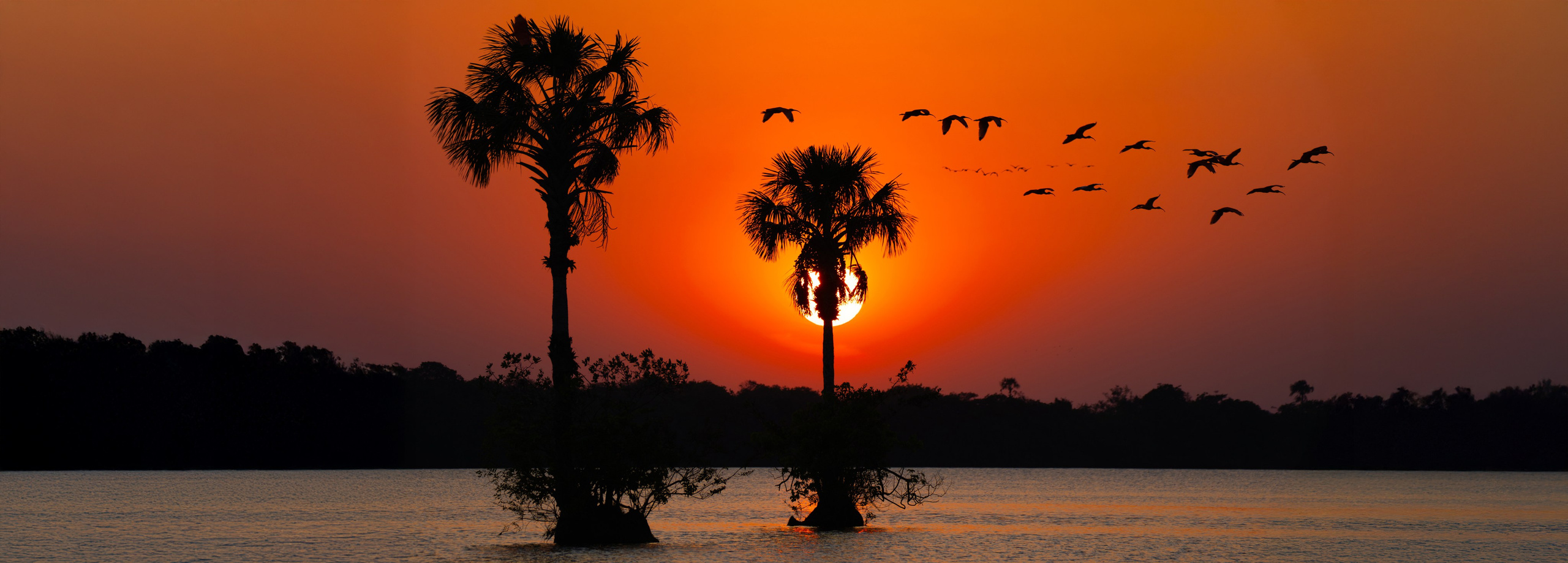 Nature photographer Yuri Soria-Galvarro