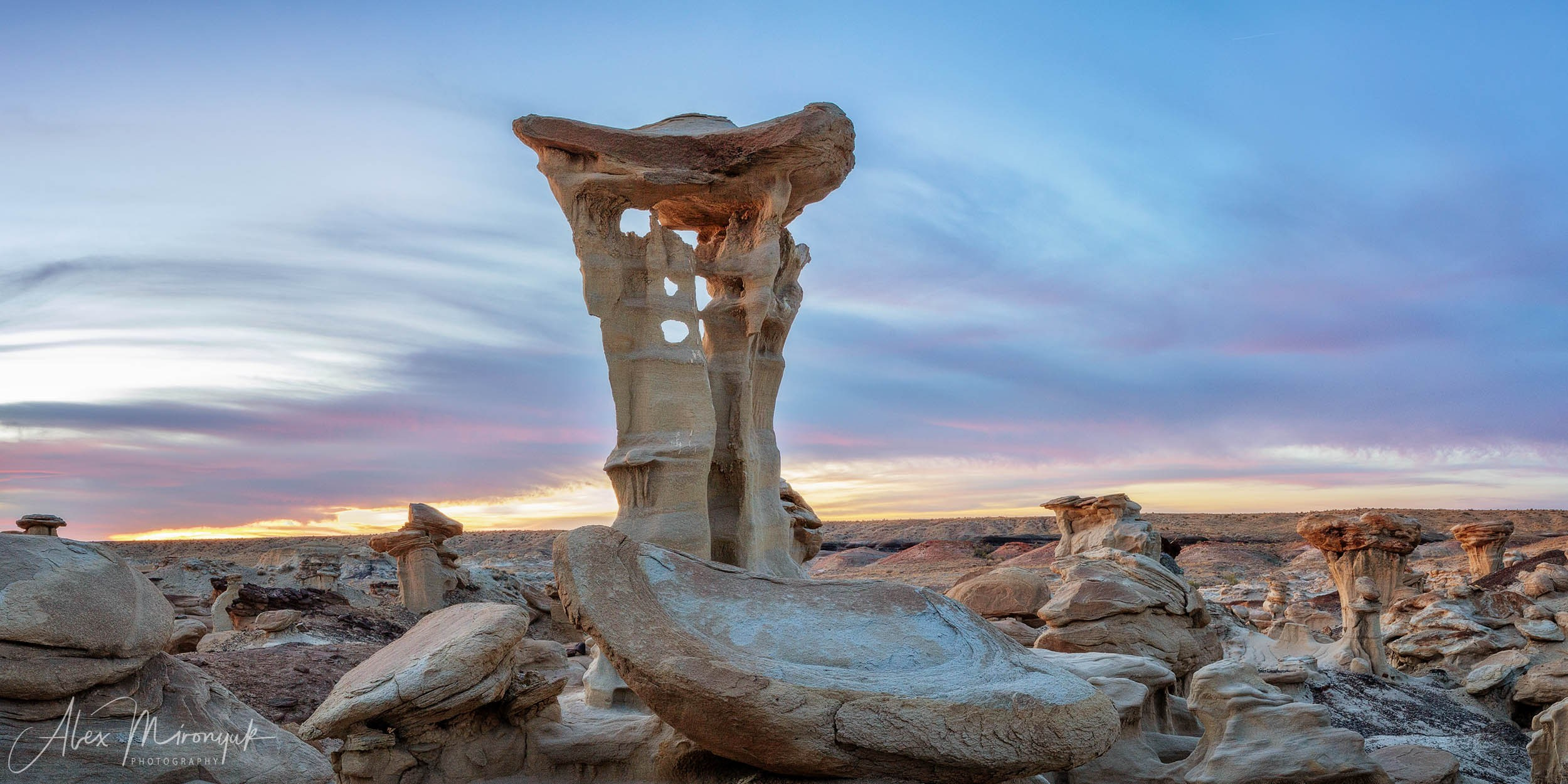 The Best of New Mexico. Pet, Senior, Landscape, portrait studio, photographer in Miami and Sou