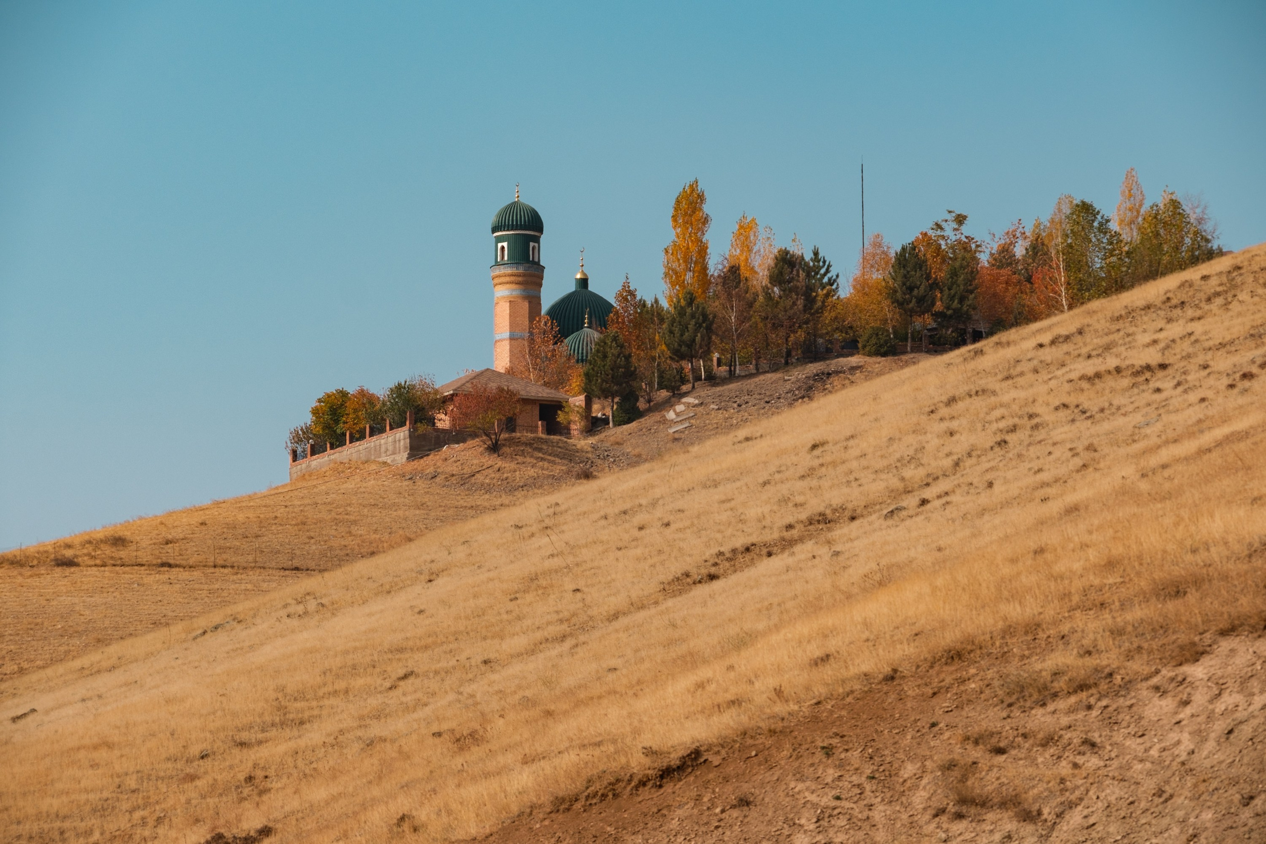 Обзор на объектив 16-300мм Sigma. Личные впечатления и опыт использования. Фотограф Григорий Кравец