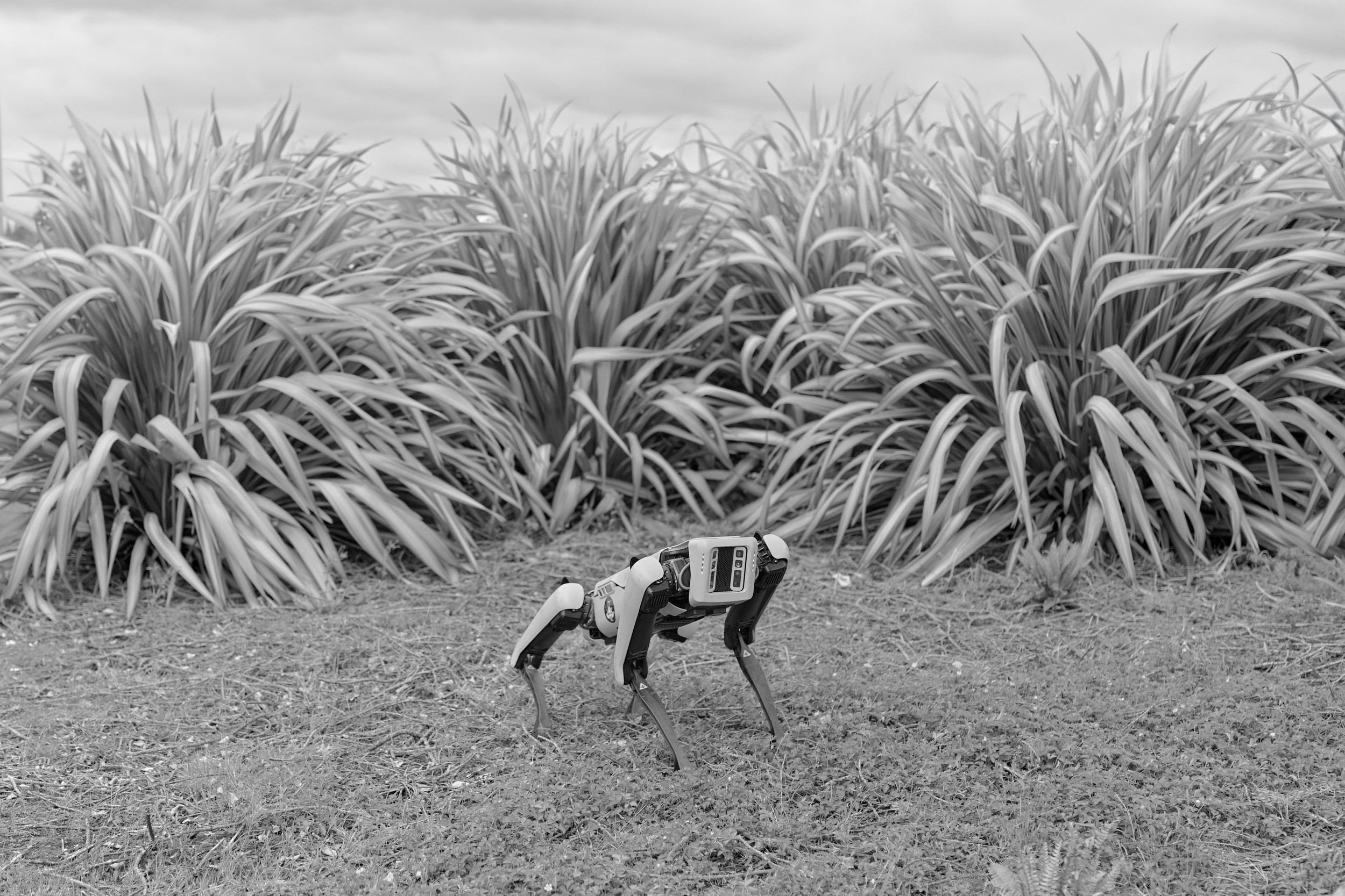 Immortality. GLISH ART — Timofey Glinin & Anastasia Shubina