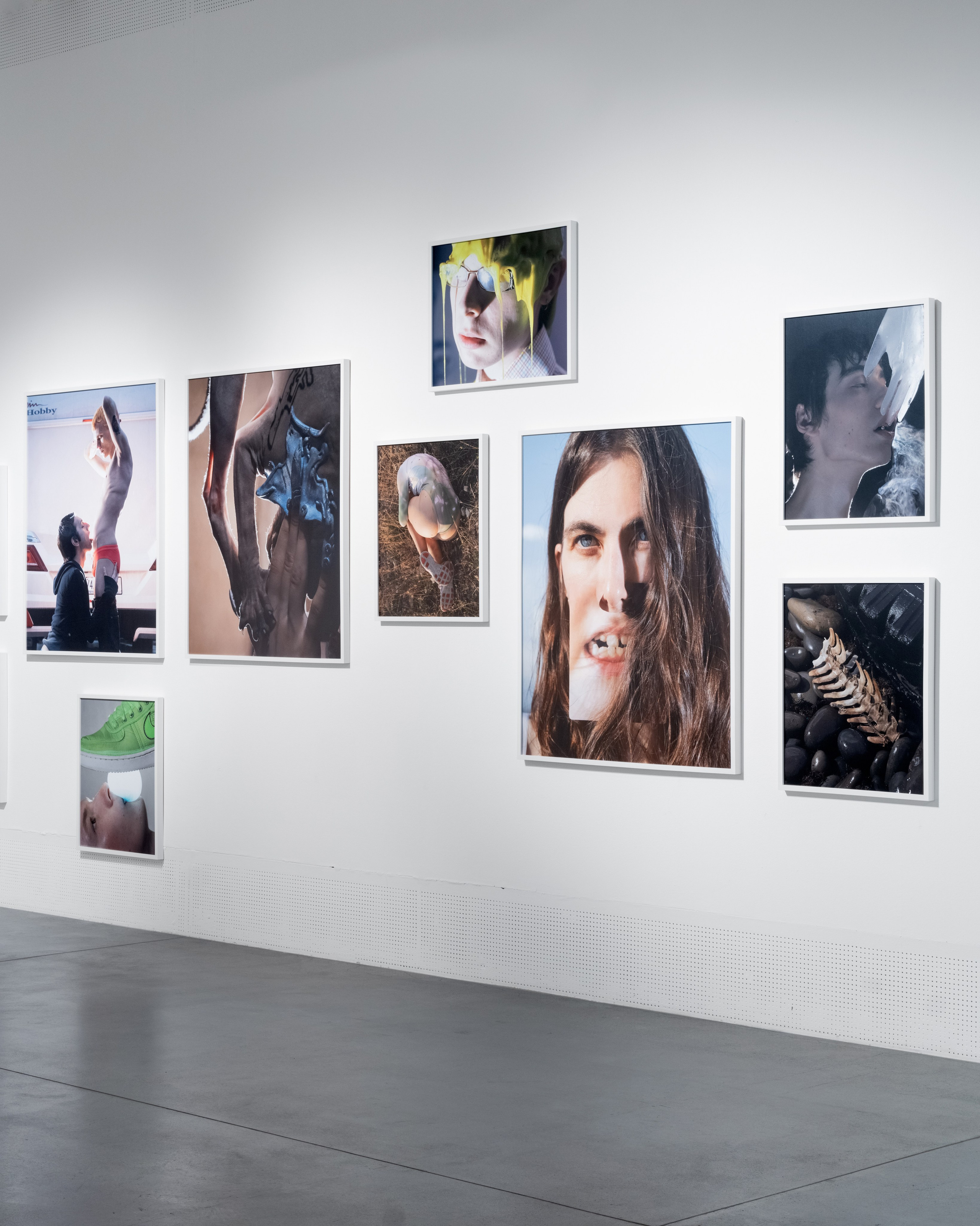Exhibitions. Sasha Chaika