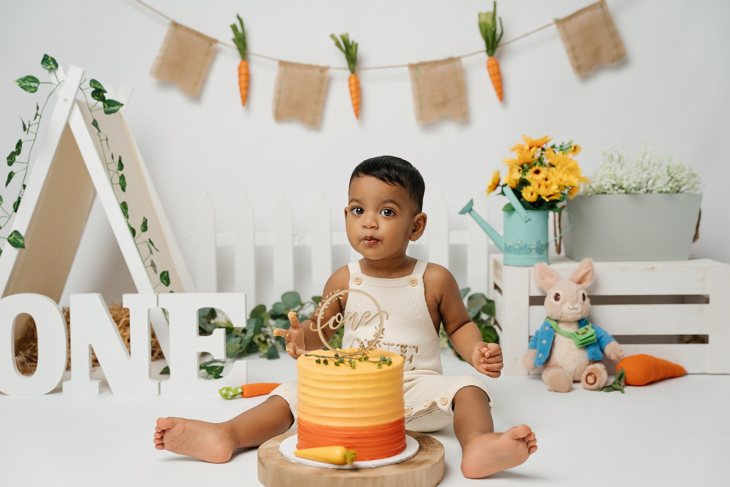Peter rabbit cake smash session. Newborn and family photographer. Hills District. Sydney