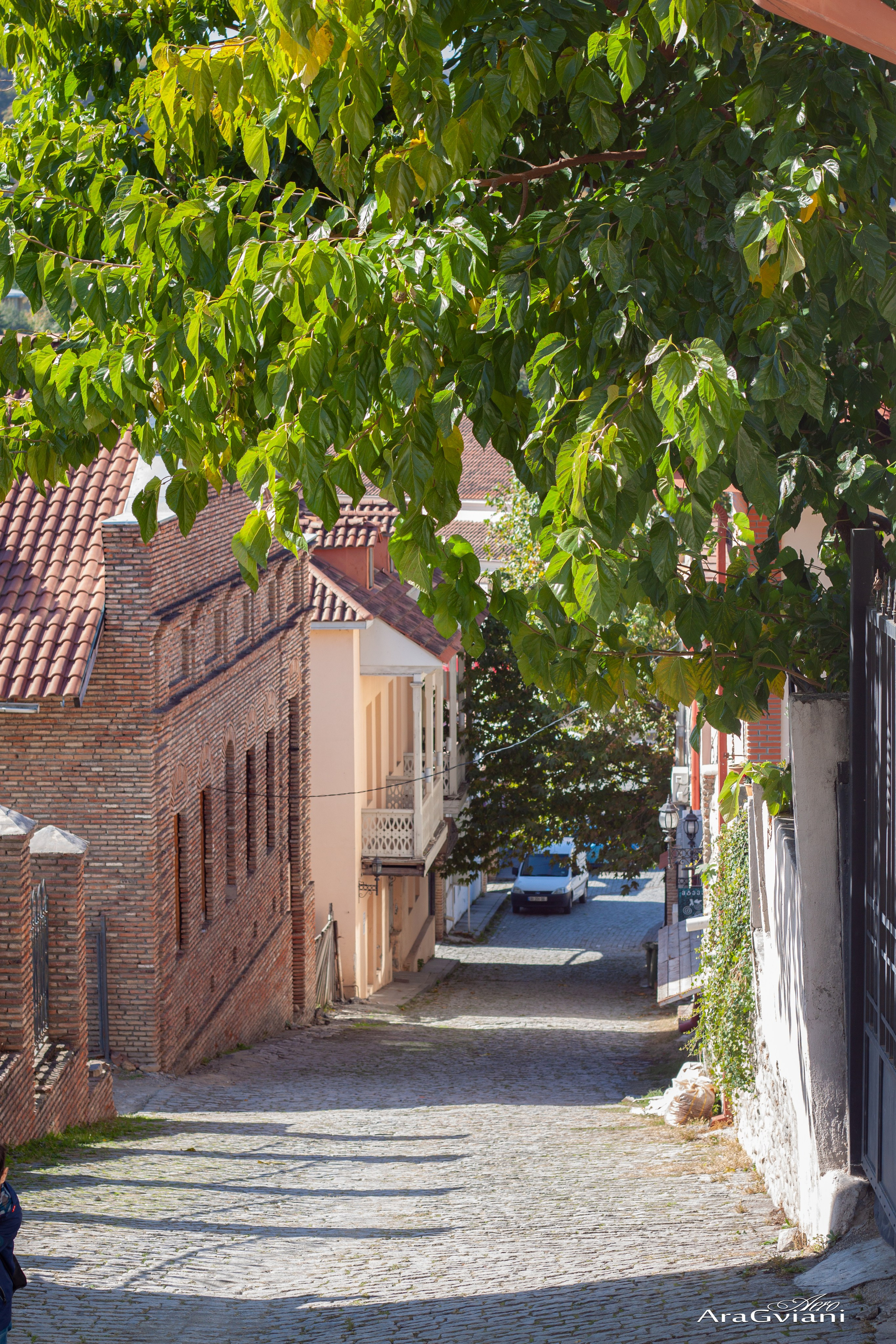 სიღნაღი გადარბენით. FramefreeMan