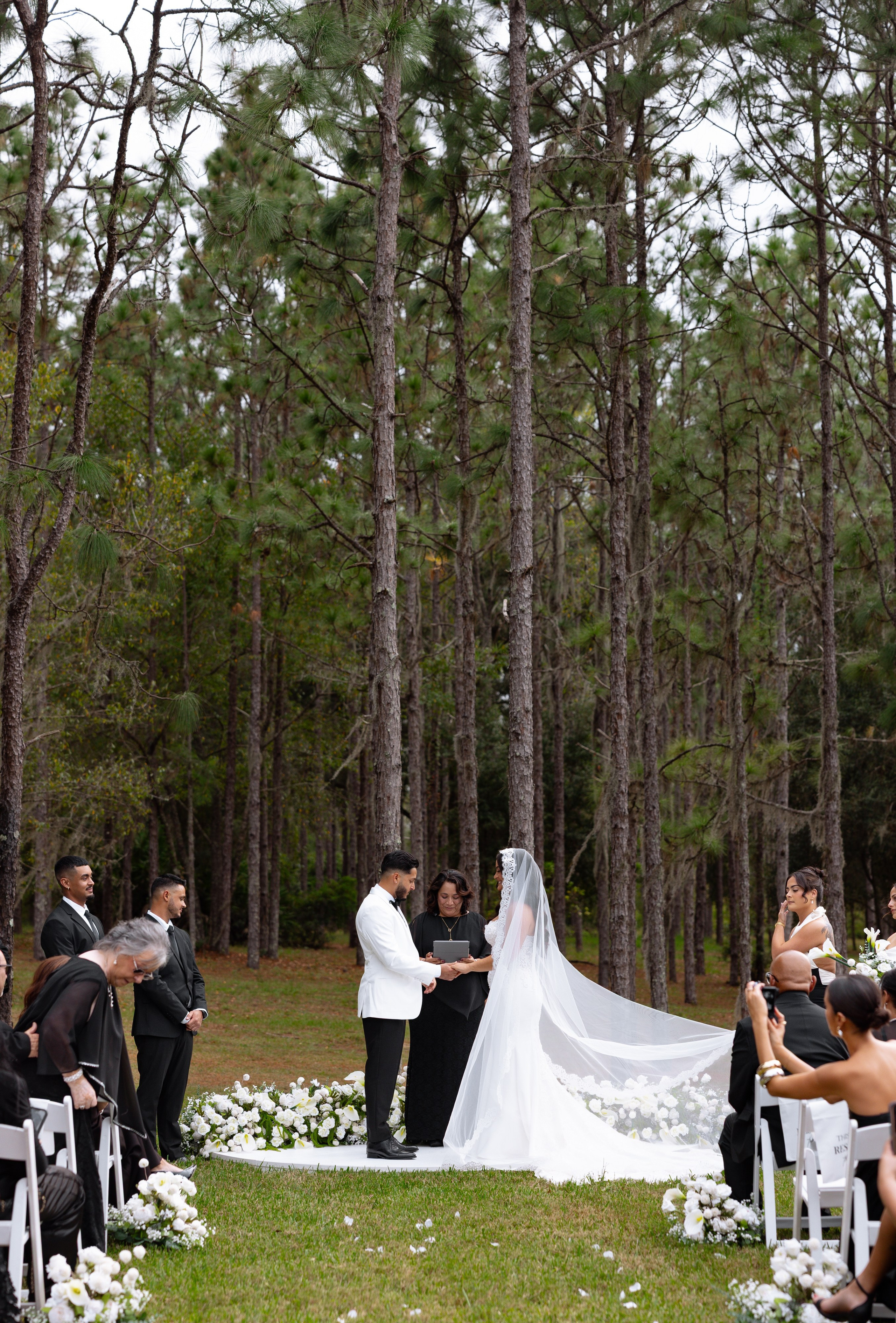 Investment. Photographer Anastasia Nagibina