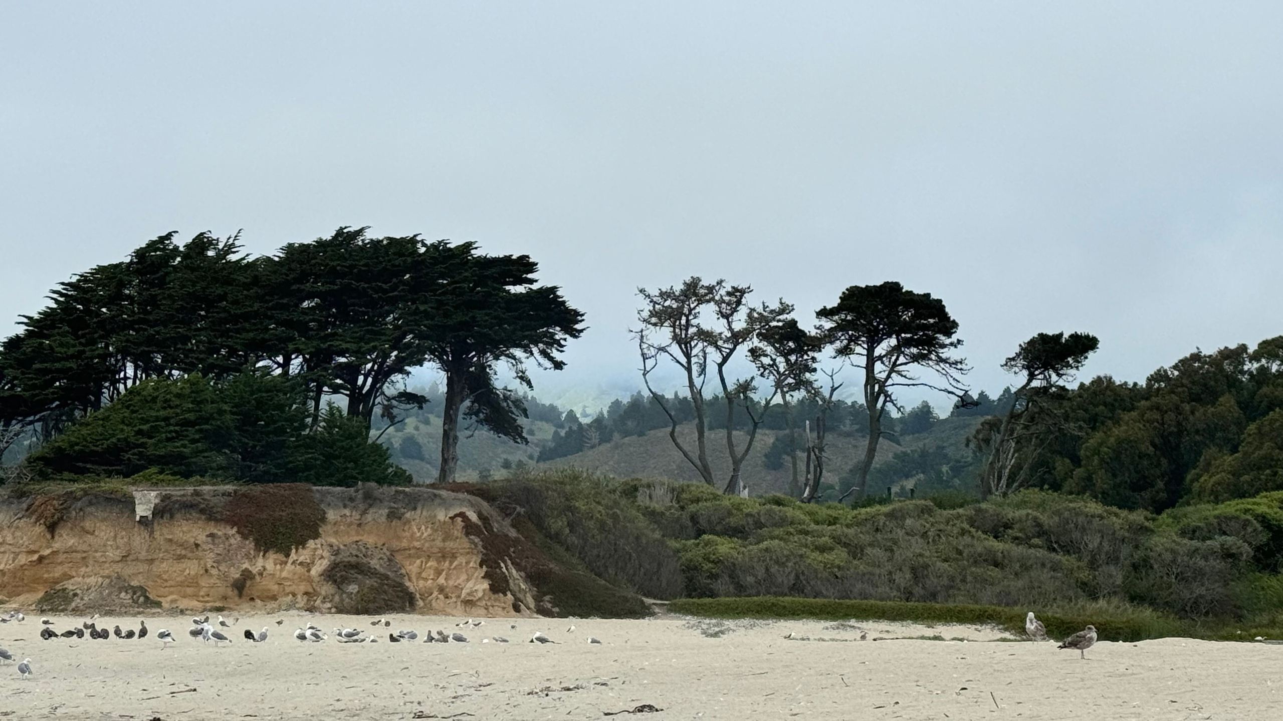 Bay Area Beach Guide for Photoshoots | Best Beaches for Maternity, Couples & Family. Maternity, newborn photographer in the Bay Area|Iryna Rakivnenko