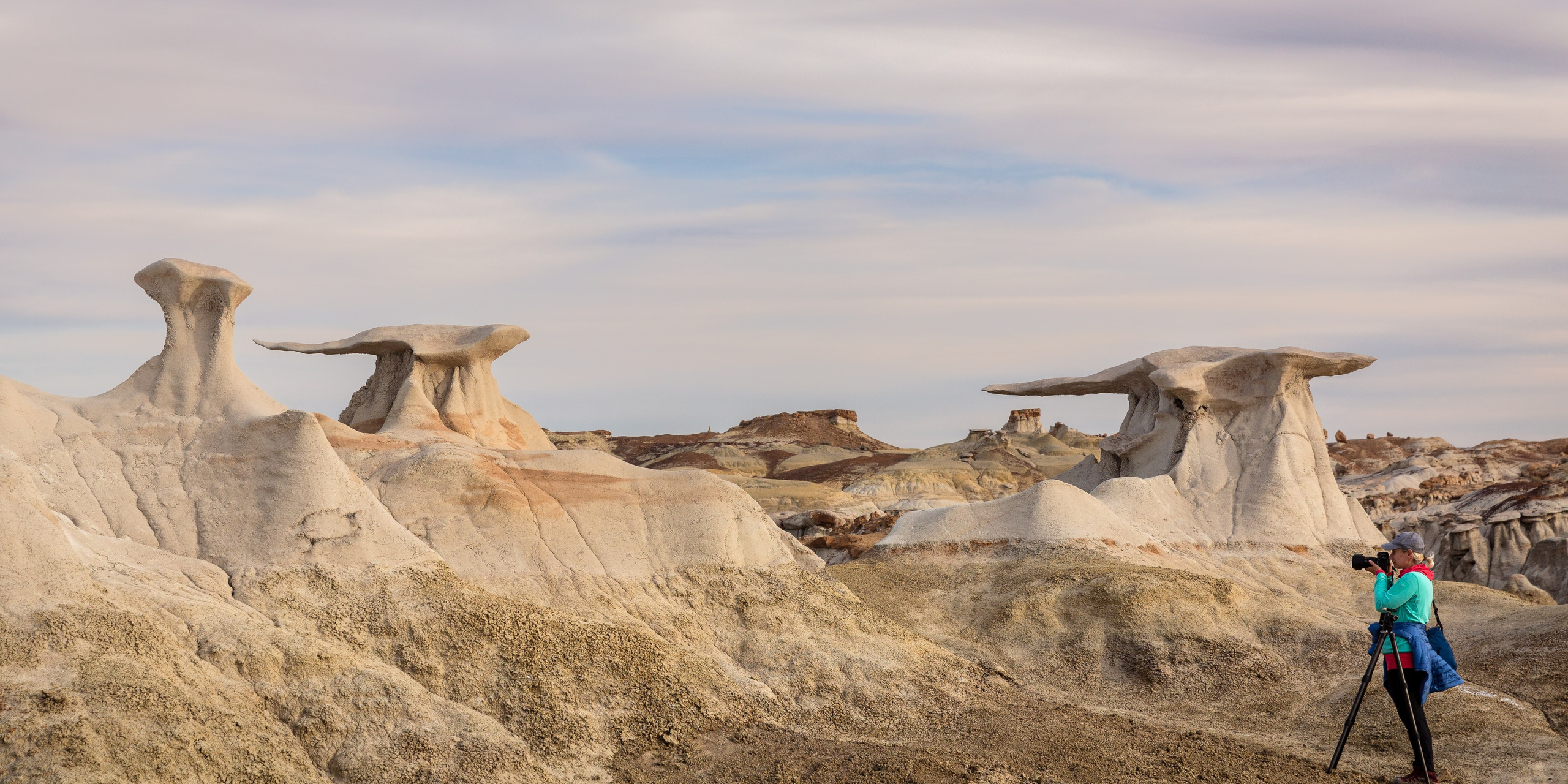 Eagle’s View American Southwest. Pet, Senior, Landscape, portrait studio, photographer in Miami and Sou