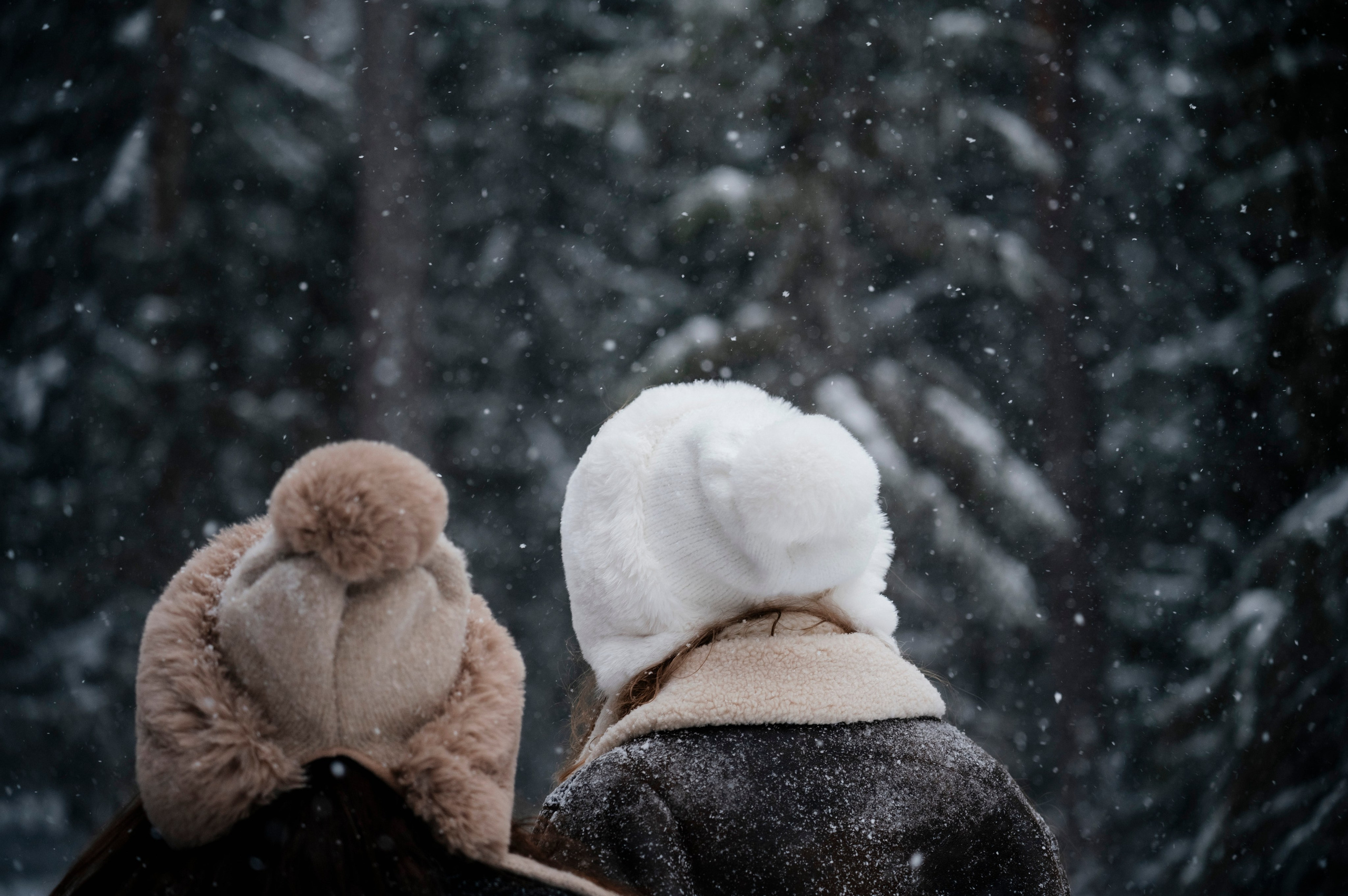 Семья/пара. Фотограф Таллинн — свадьба |семья | lovestory