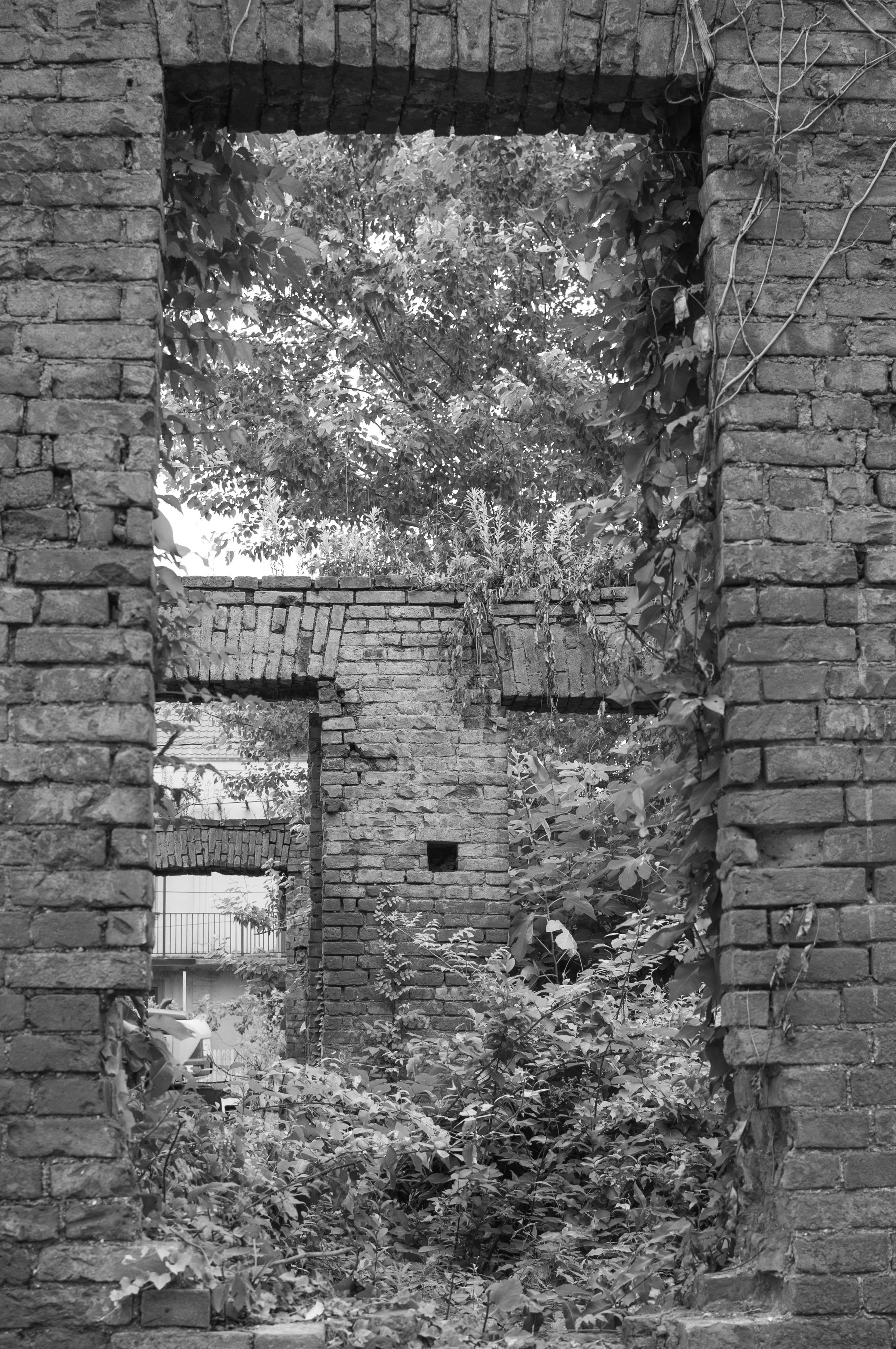 Under the Phasis' Sun. Mayya Kelova artist