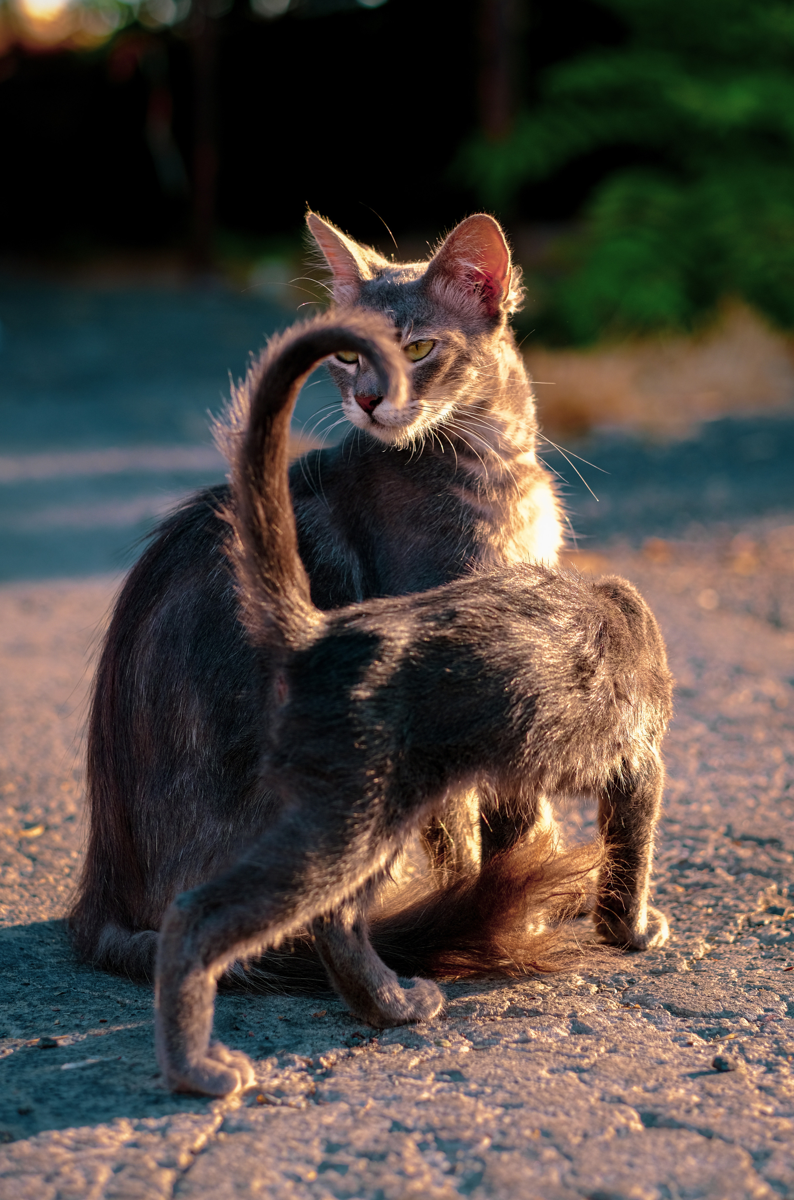 Candid Street Photography | Street Photography in Limassol City. 中国街头摄影 | The Streets of China Through My Eyes | 深圳