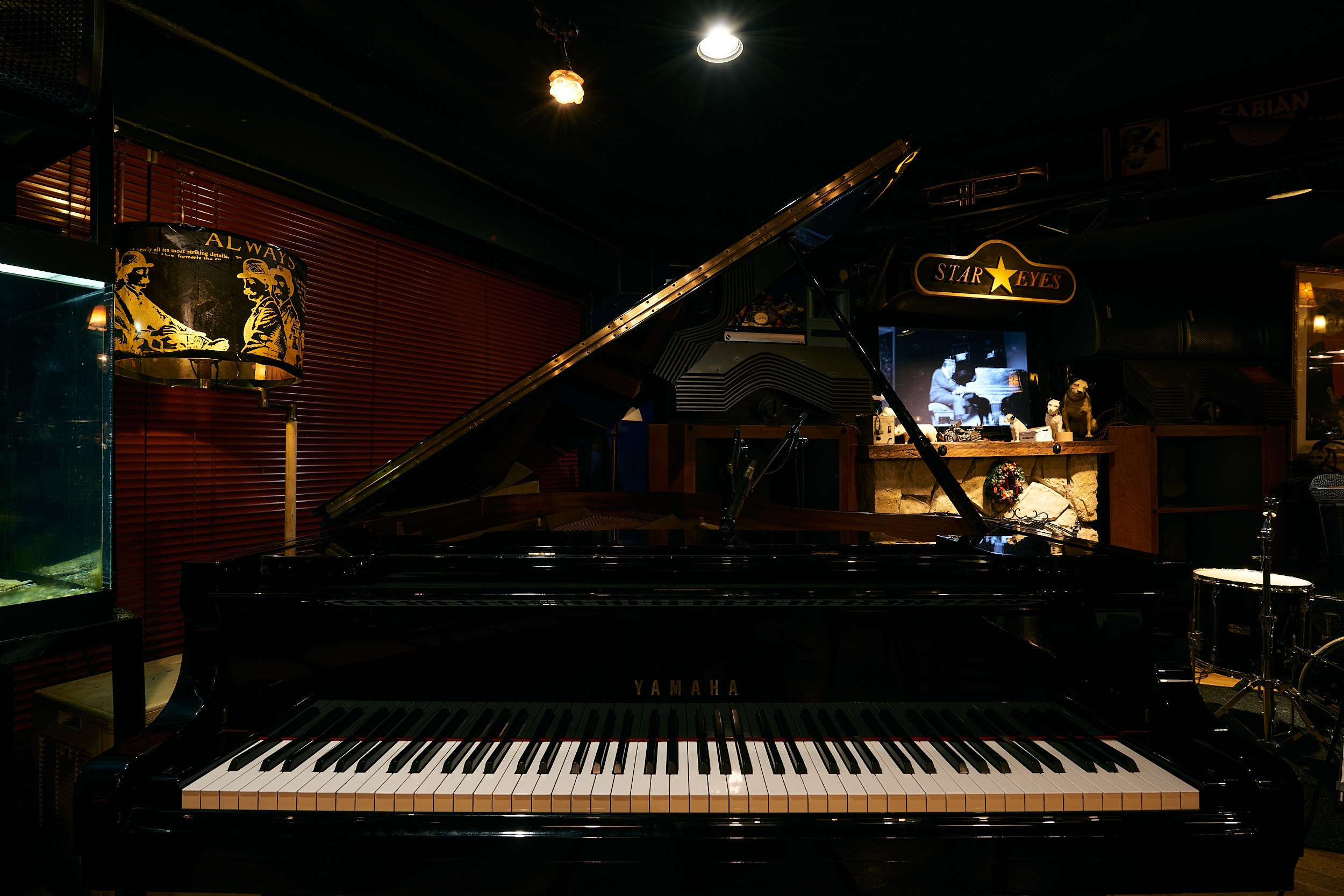 The Music Lovers. MT