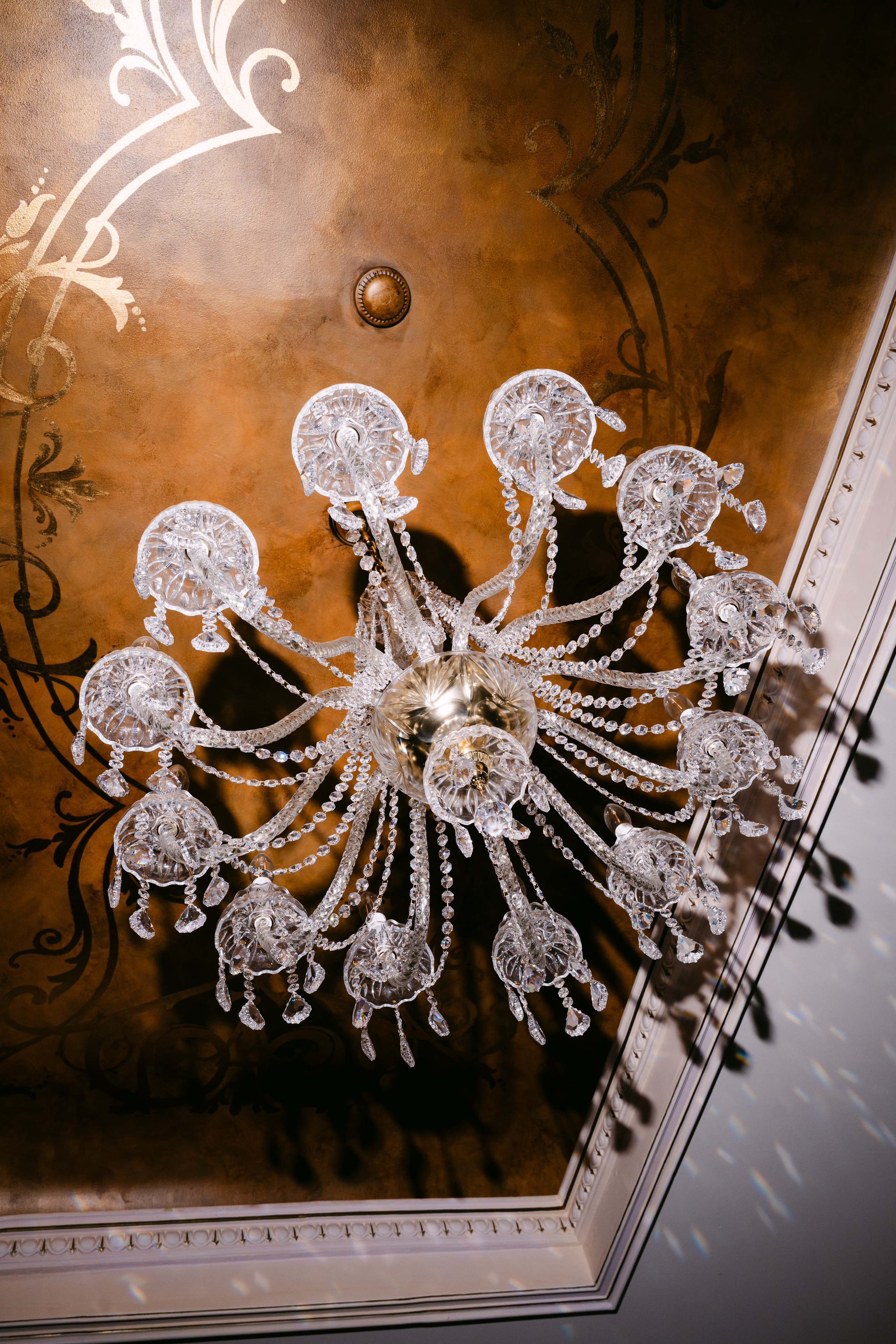 Wedding Photographer Alex Pasarelu