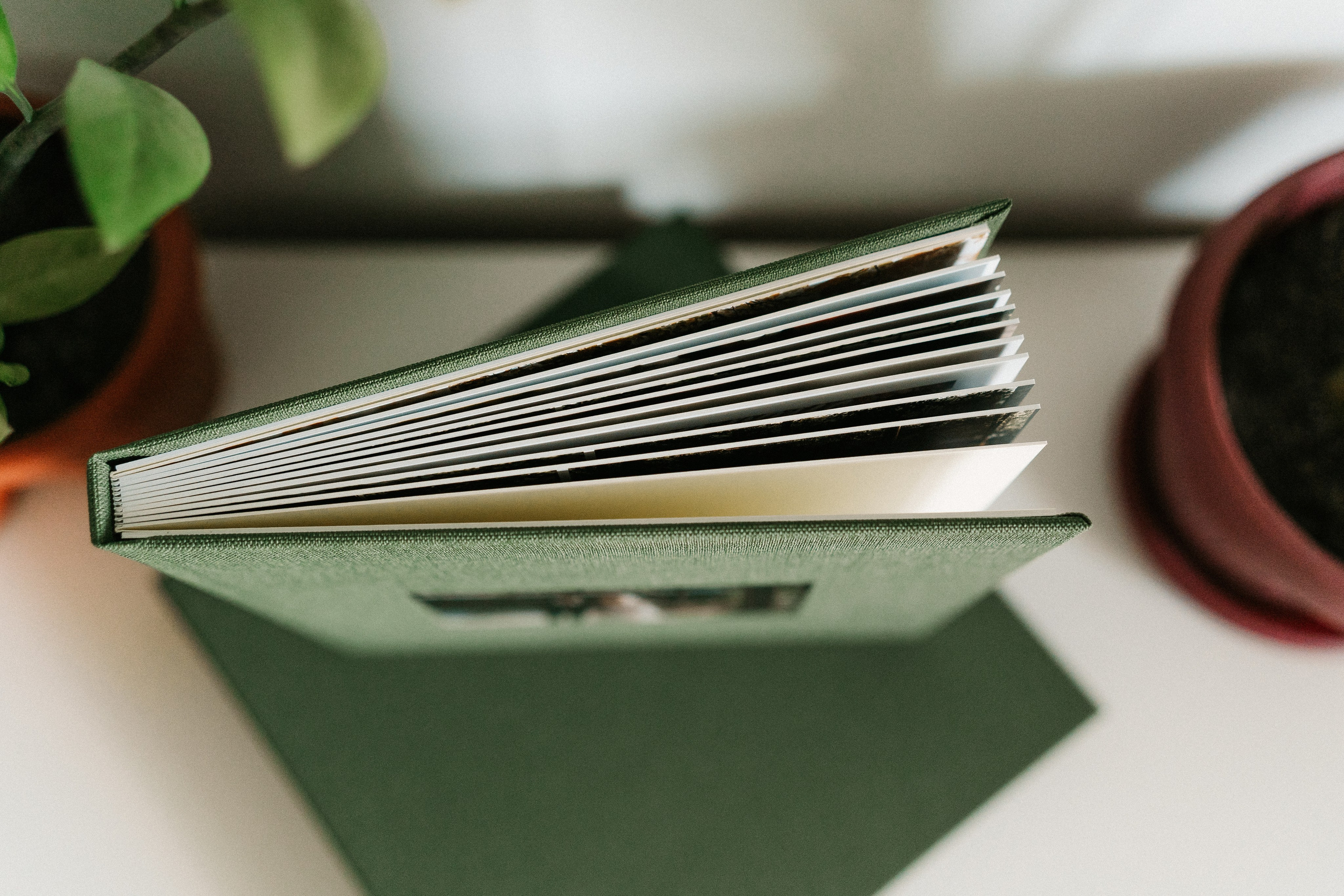 Album. Dara Lens | The art of remembering