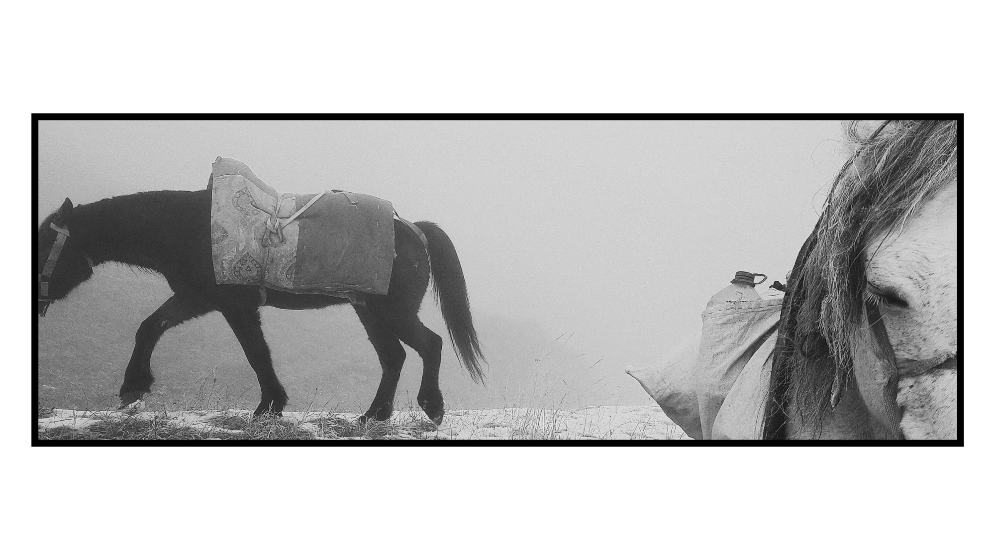 Dağ Kəndi Həyatı və Mənzərələri. Bakıda Peşəkar Tədbir, Love Story və Təbiət Fotoqrafı — Elşən Baba