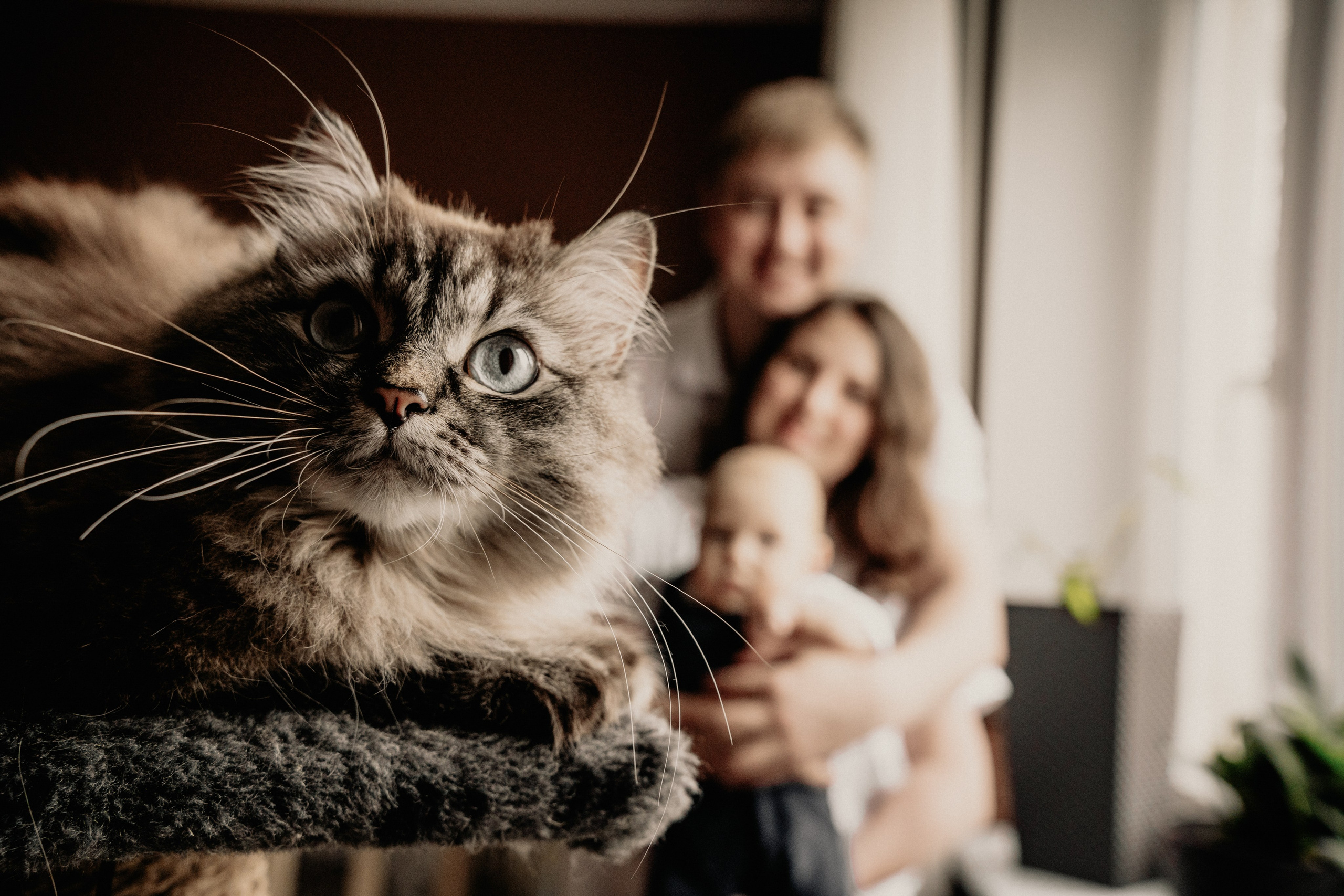 Mother & Newborn Photography – Intimate & Emotional. Alisa Tant — Family and newborn photographer Bucks County, Montgomery county, Philadelphia, NJ