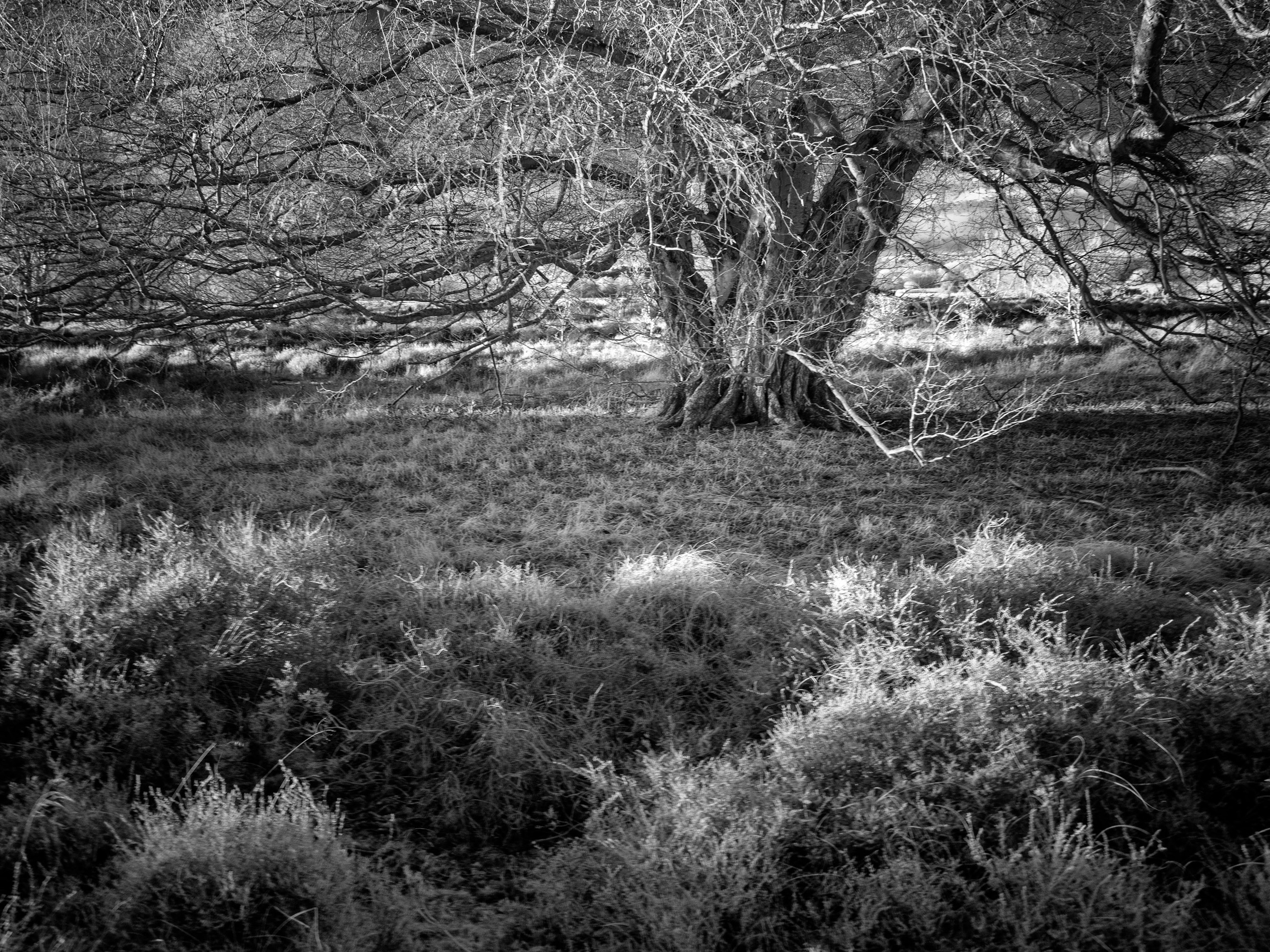 UK Landscape & Seascape Gallery. Hedley Wright Photography | East Anglia Sport, Street, Wildlife, Landscape & Astrophotography