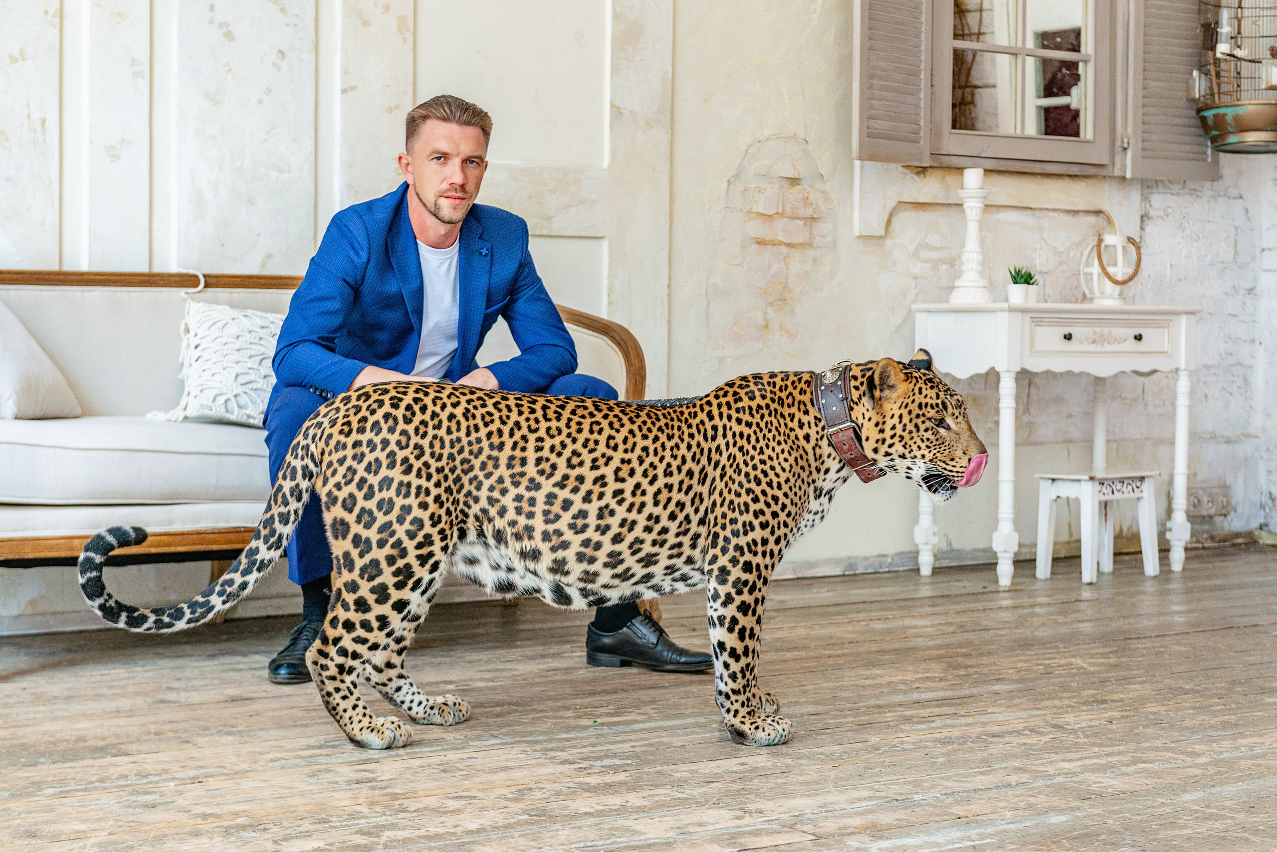 Photosession in the studio with a leopard. FOTÓGRAFO MÉXICO QUINTANA ROO