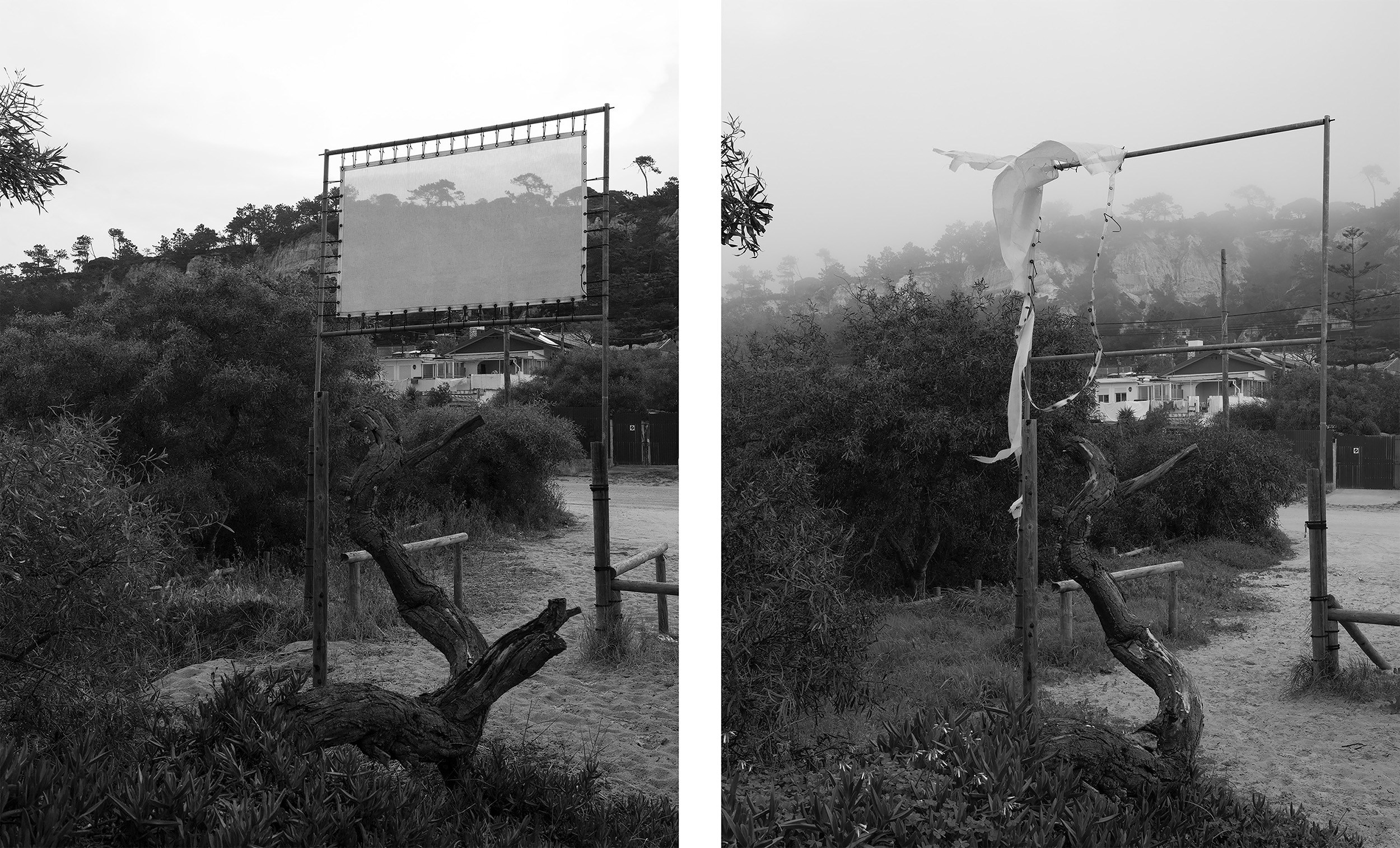 Katya Bogachevskaya — independent curator, lecturer