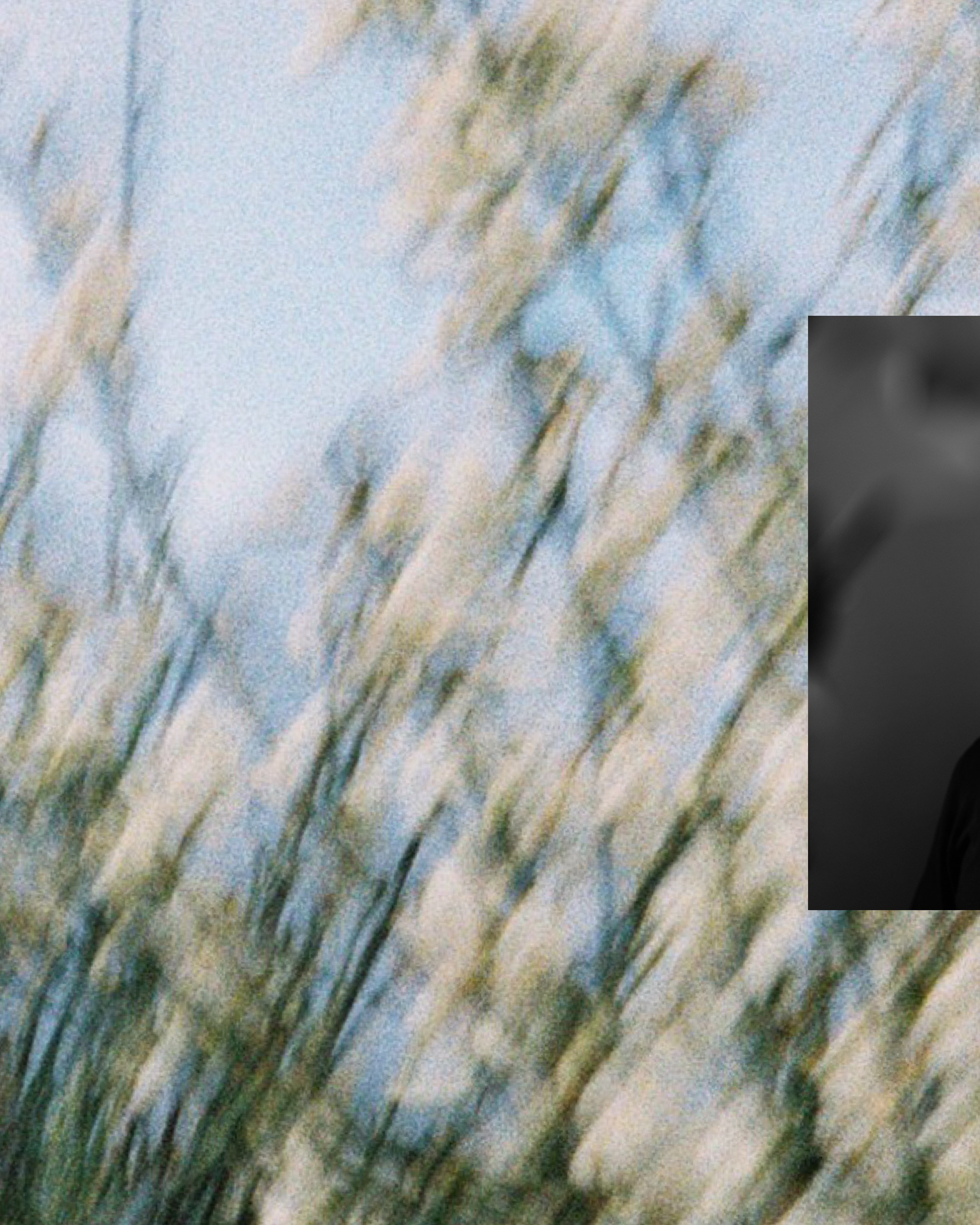 Therapeutic Photography Course: Self-Inquiry with Lens-Based Practices. Lilit Danielyan | Photographer & Videographer